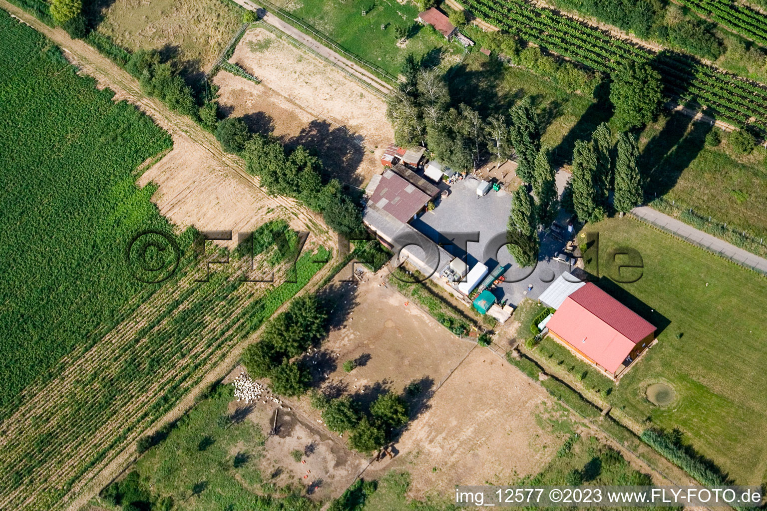 Vue aérienne de Michael Schwager à le quartier Herxheim in Herxheim bei Landau dans le département Rhénanie-Palatinat, Allemagne