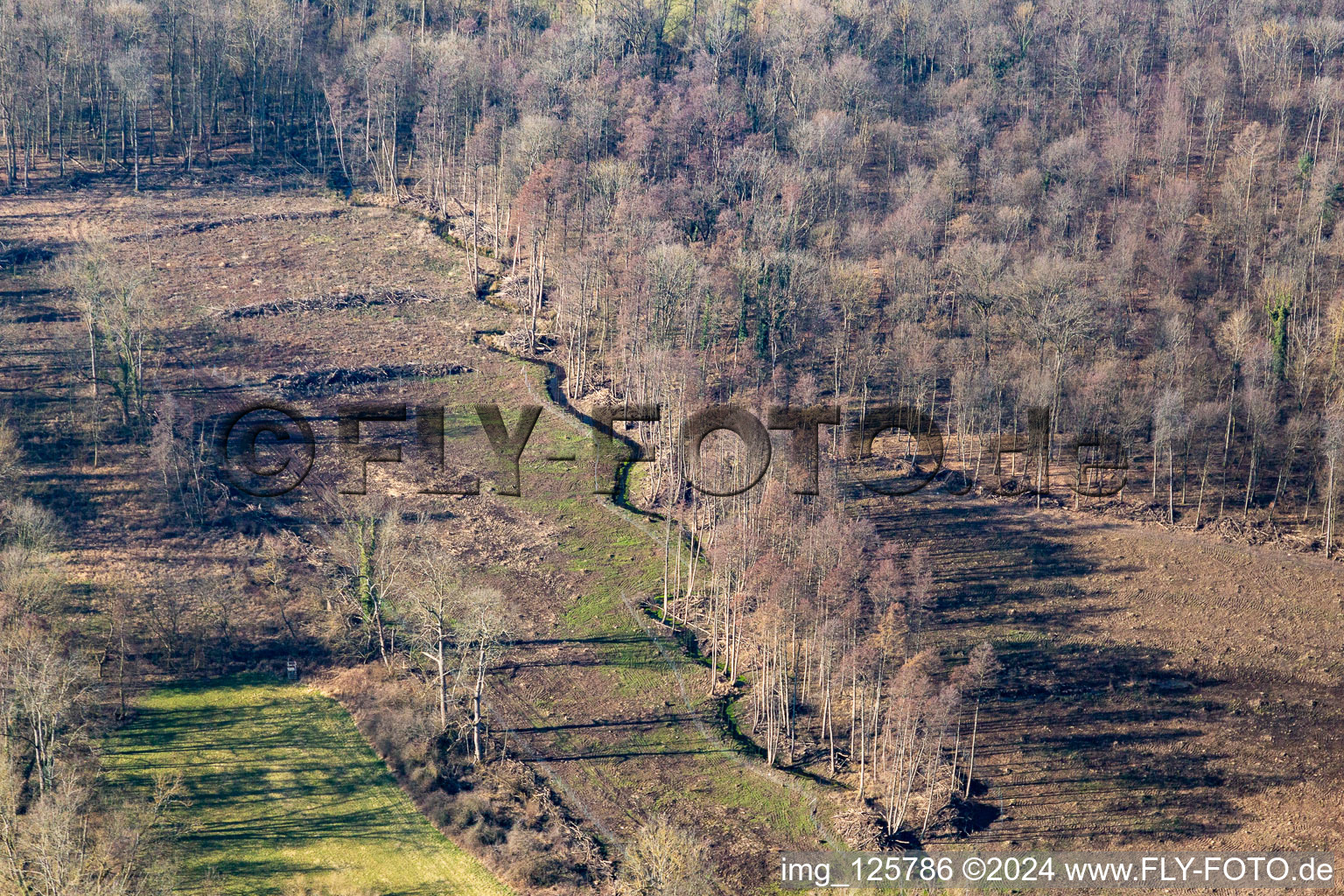 Vue aérienne de Klingbach au début du printemps à Steinweiler dans le département Rhénanie-Palatinat, Allemagne