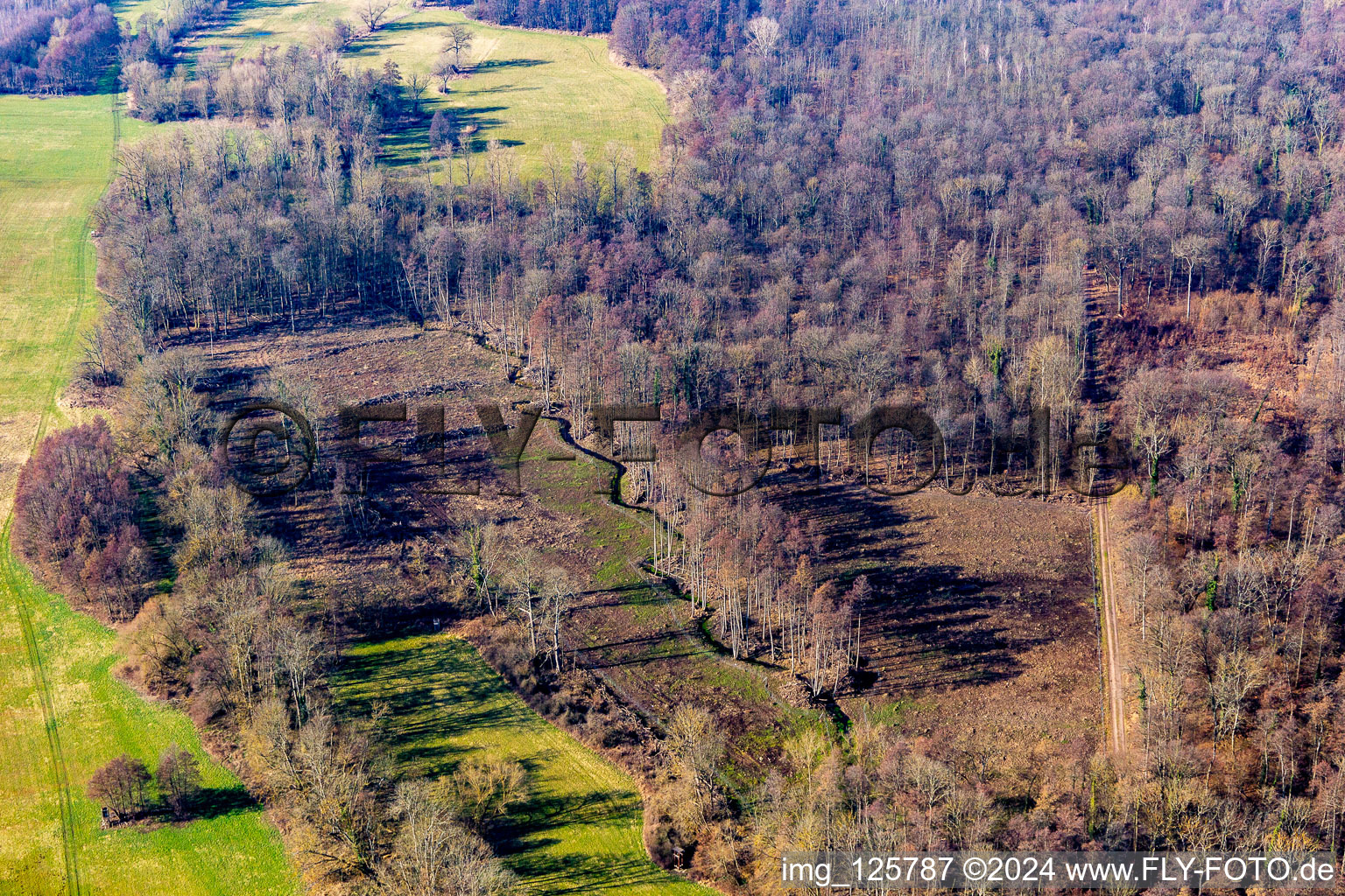 Vue aérienne de Courbe sinueuse et sinueuse de la rivière Klingbach au début du printemps à Rohrbach à Steinweiler dans le département Rhénanie-Palatinat, Allemagne