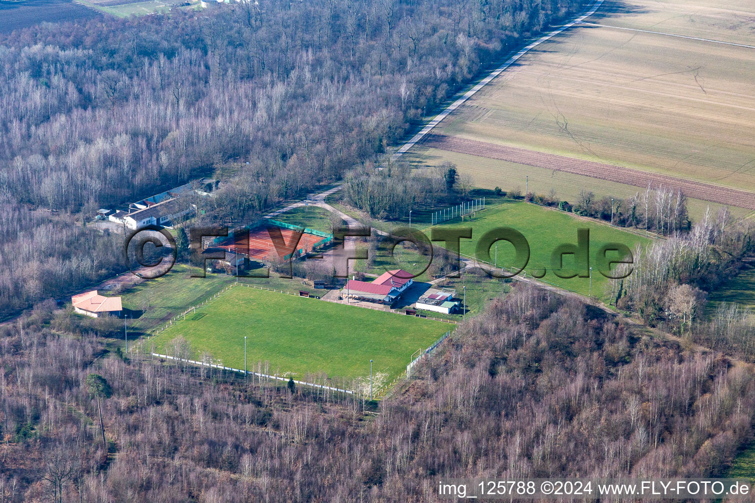 Vue aérienne de Terrain de tennis et de football, cabane barbecue Waldschlösschen à Steinweiler dans le département Rhénanie-Palatinat, Allemagne