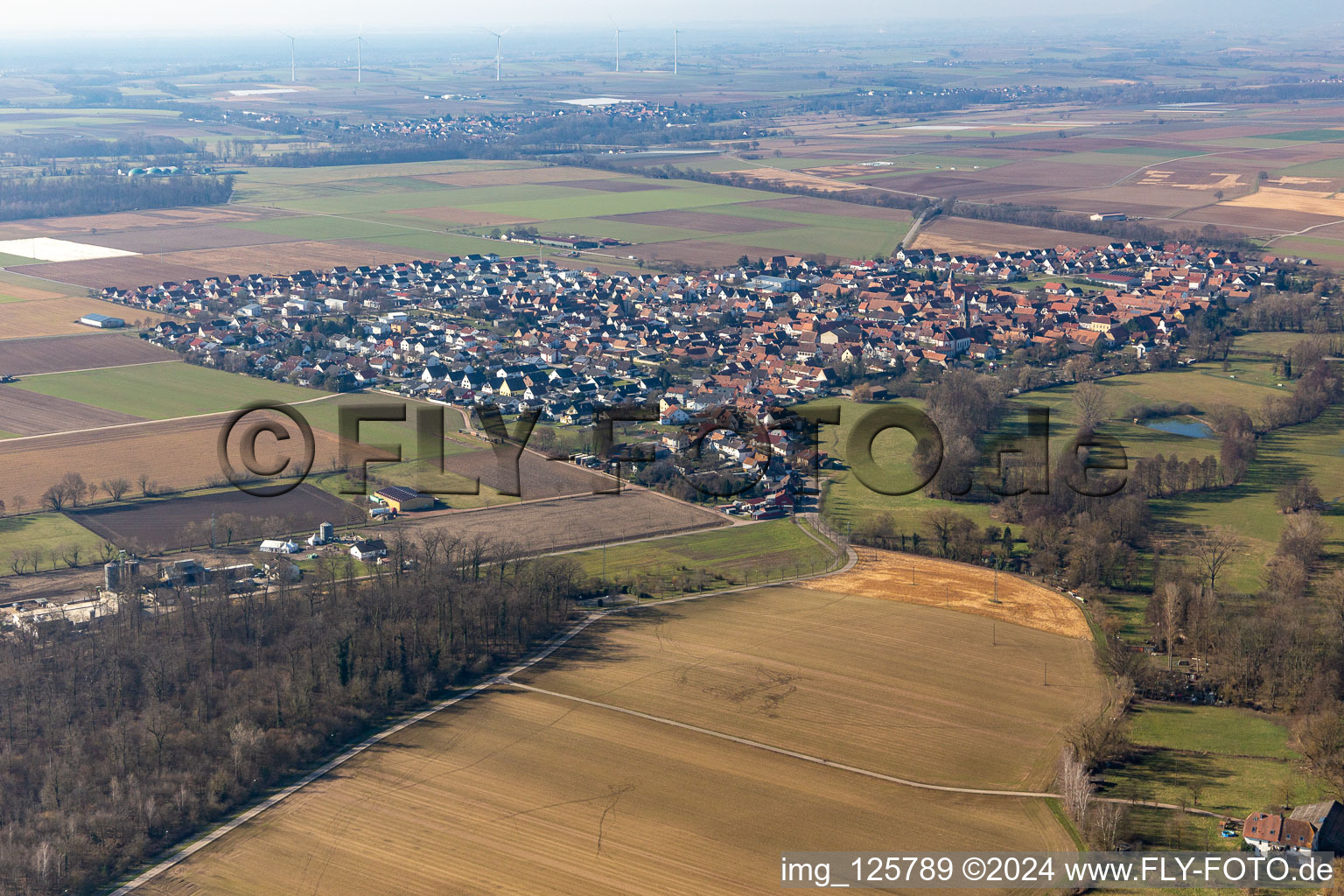 Steinweiler dans le département Rhénanie-Palatinat, Allemagne du point de vue du drone