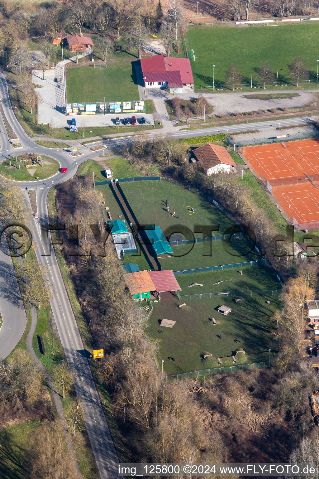 Vue aérienne de Club de tennis et de sports canins à Rohrbach dans le département Rhénanie-Palatinat, Allemagne