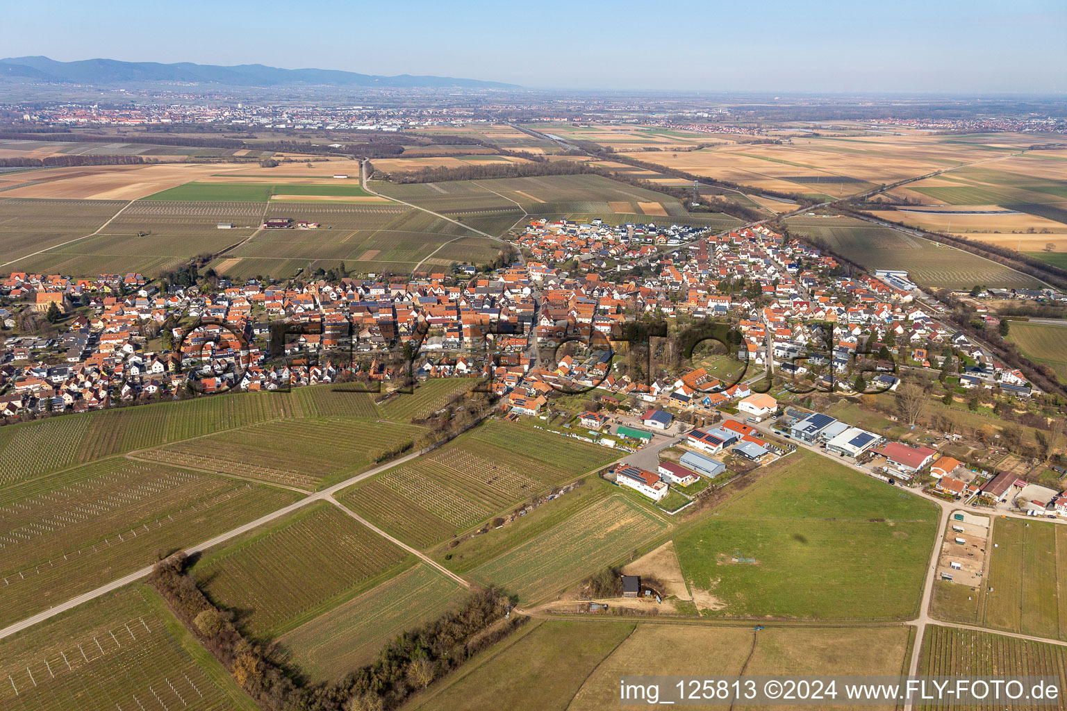 Vue oblique de Insheim dans le département Rhénanie-Palatinat, Allemagne