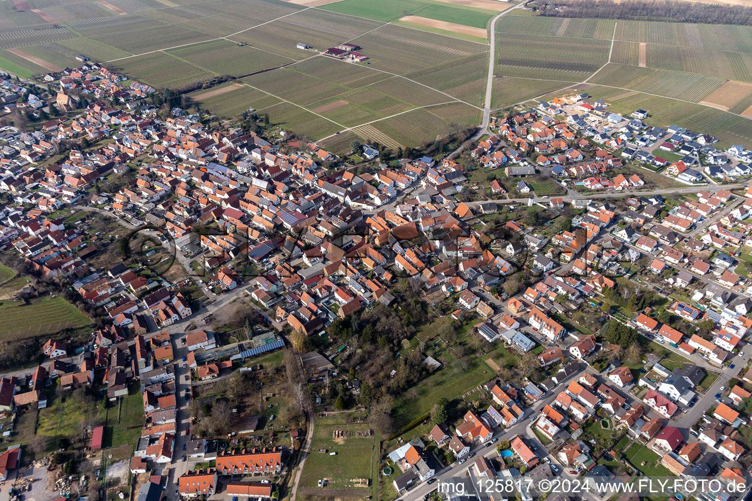 Insheim dans le département Rhénanie-Palatinat, Allemagne d'en haut