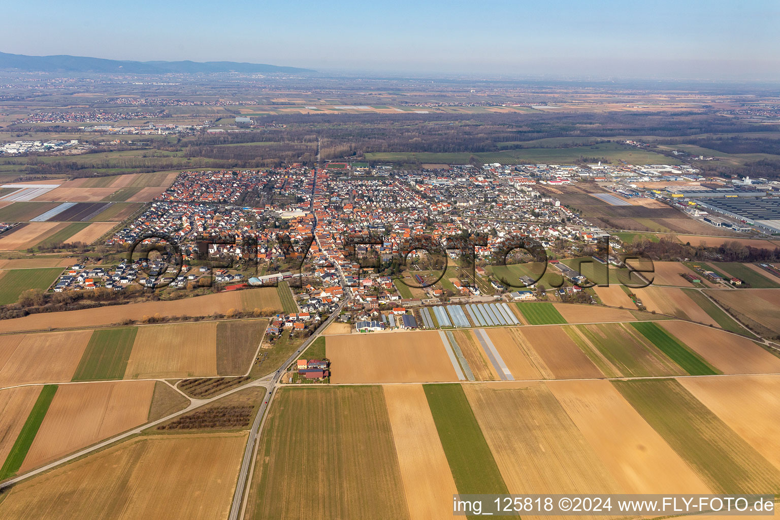 Vue aérienne de Vue des rues et des maisons des quartiers résidentiels à le quartier Offenbach in Offenbach an der Queich dans le département Rhénanie-Palatinat, Allemagne