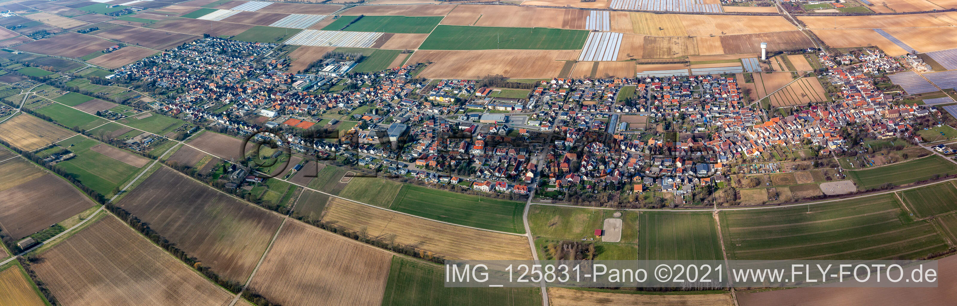 Vue aérienne de Panorama de la région et des environs à Lustadt dans le département Rhénanie-Palatinat, Allemagne