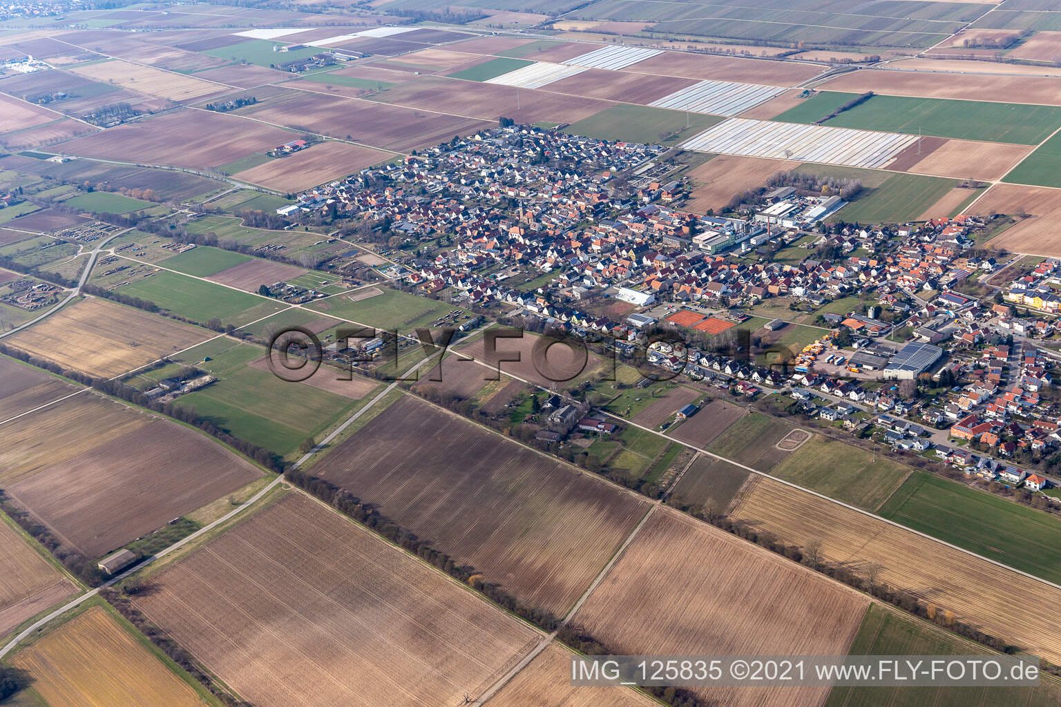 Lustadt dans le département Rhénanie-Palatinat, Allemagne vue d'en haut