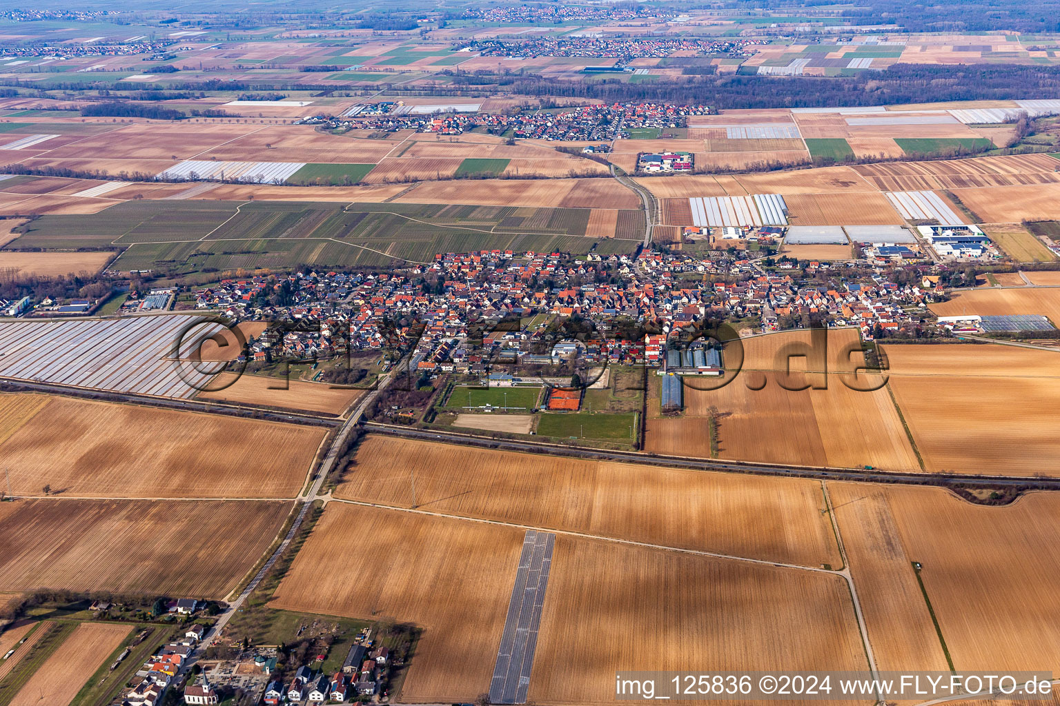 Vue oblique de (Palatinat) à Weingarten dans le département Rhénanie-Palatinat, Allemagne