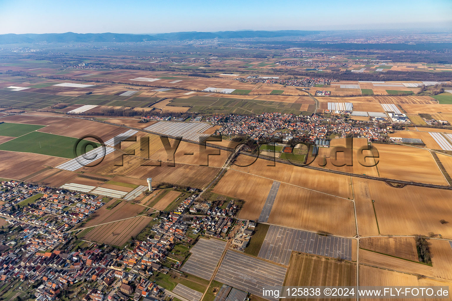 Weingarten dans le département Rhénanie-Palatinat, Allemagne vue du ciel