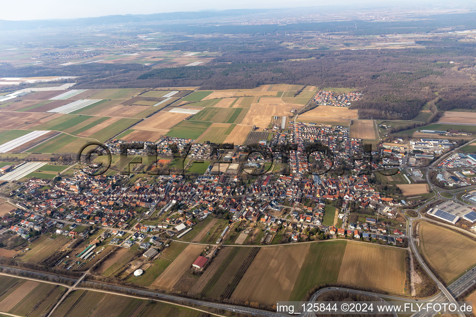 Schwegenheim dans le département Rhénanie-Palatinat, Allemagne du point de vue du drone