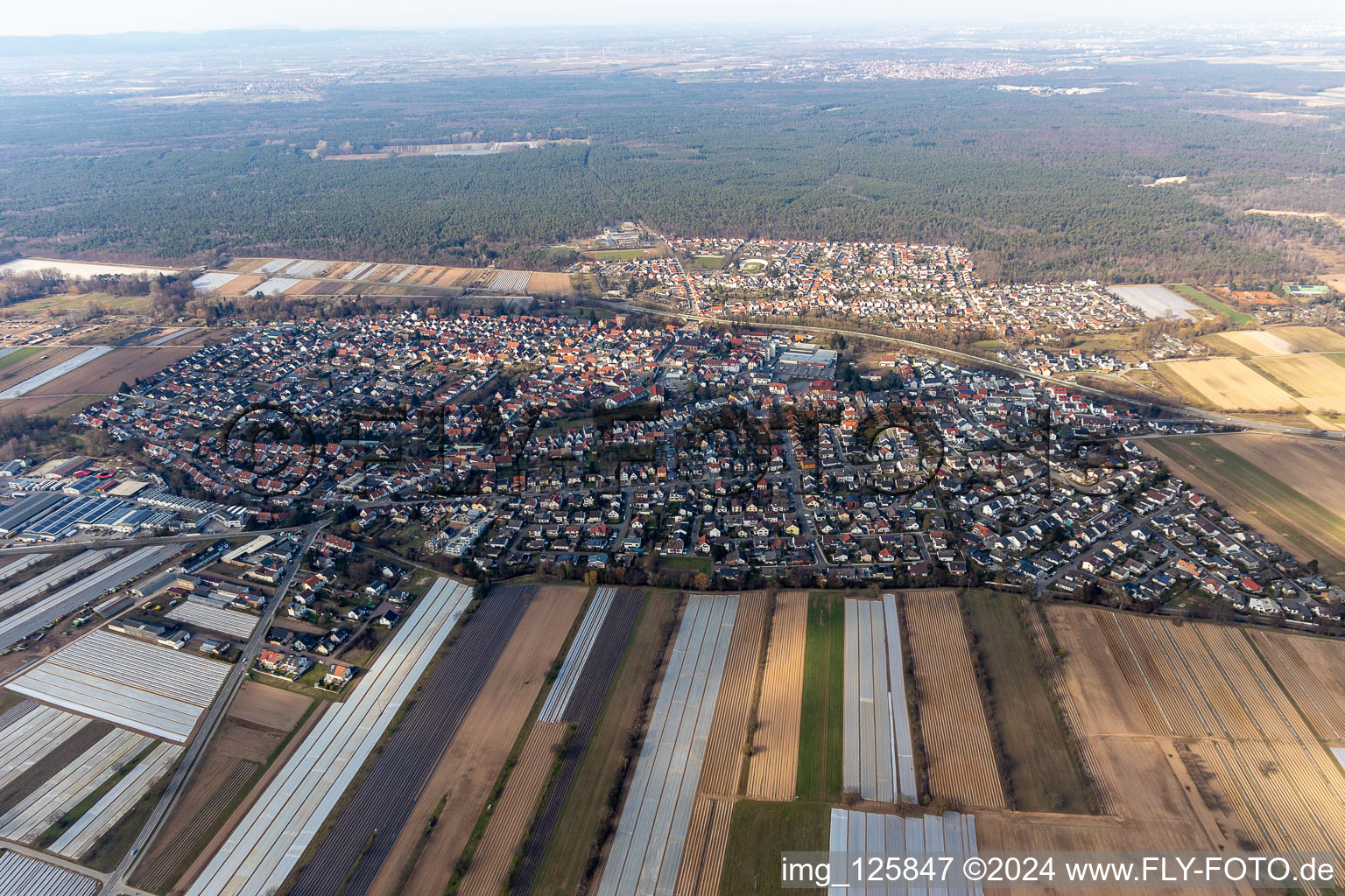 Vue aérienne de Vue des rues et des maisons des quartiers résidentiels à Dudenhofen dans le département Rhénanie-Palatinat, Allemagne