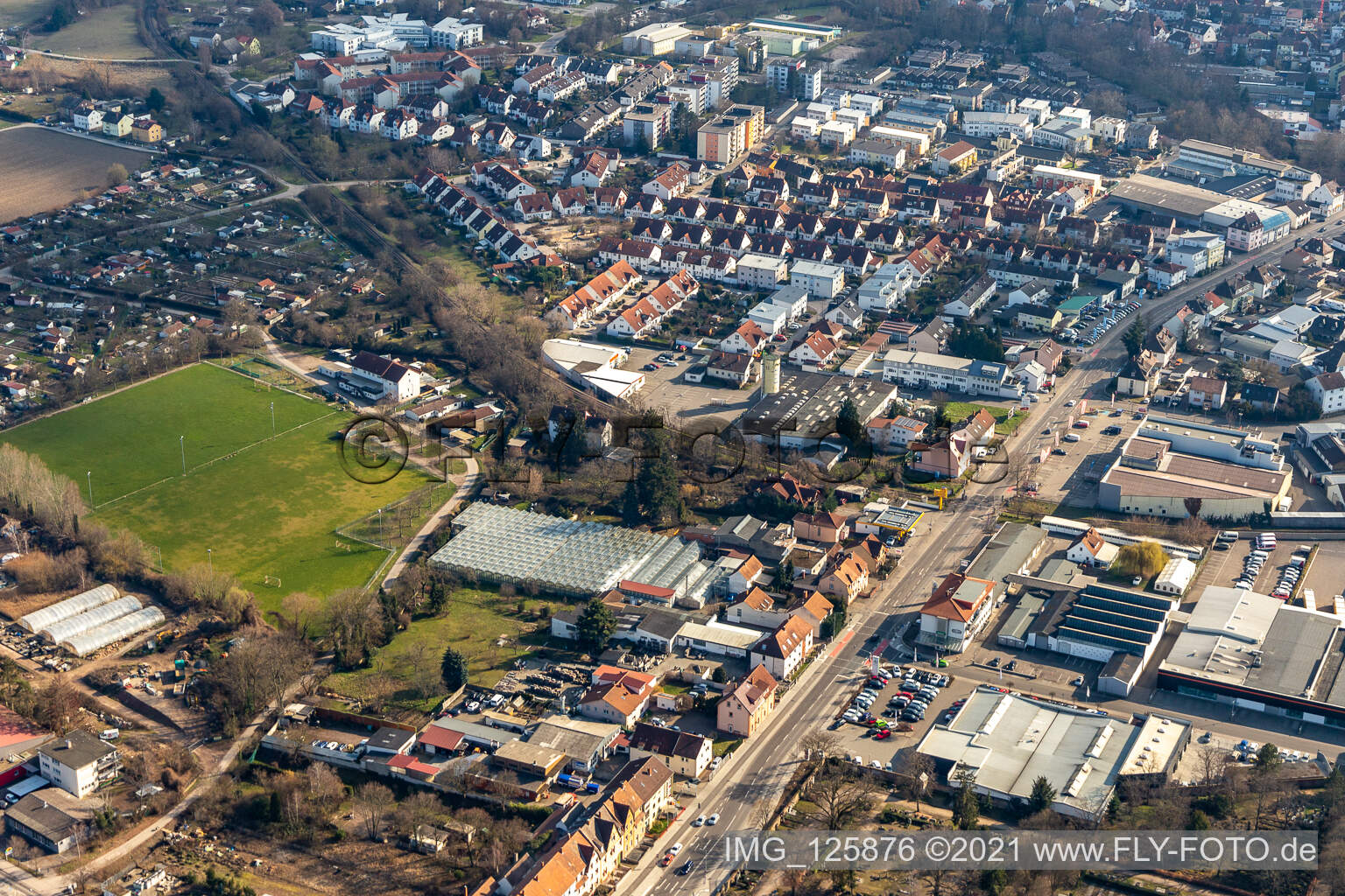 Vue aérienne de Terrain de sport au pâturage des vaches à Speyer dans le département Rhénanie-Palatinat, Allemagne