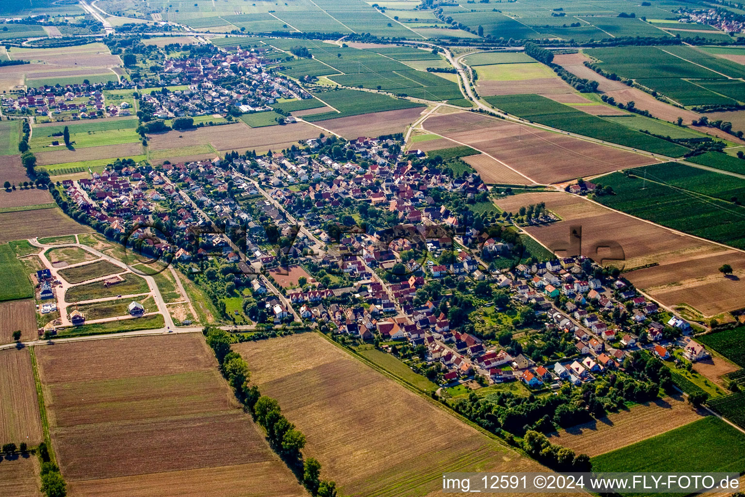 Vue aérienne de Vue des rues et des maisons des quartiers résidentiels à Bornheim dans le département Rhénanie-Palatinat, Allemagne