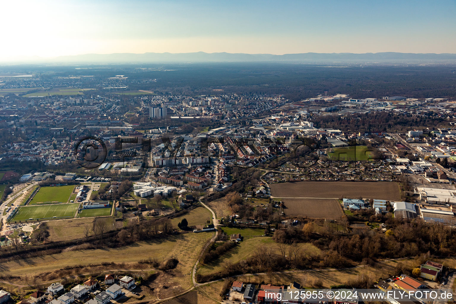 Vue aérienne de Route à bande de roulement pour le bétail à Speyer dans le département Rhénanie-Palatinat, Allemagne