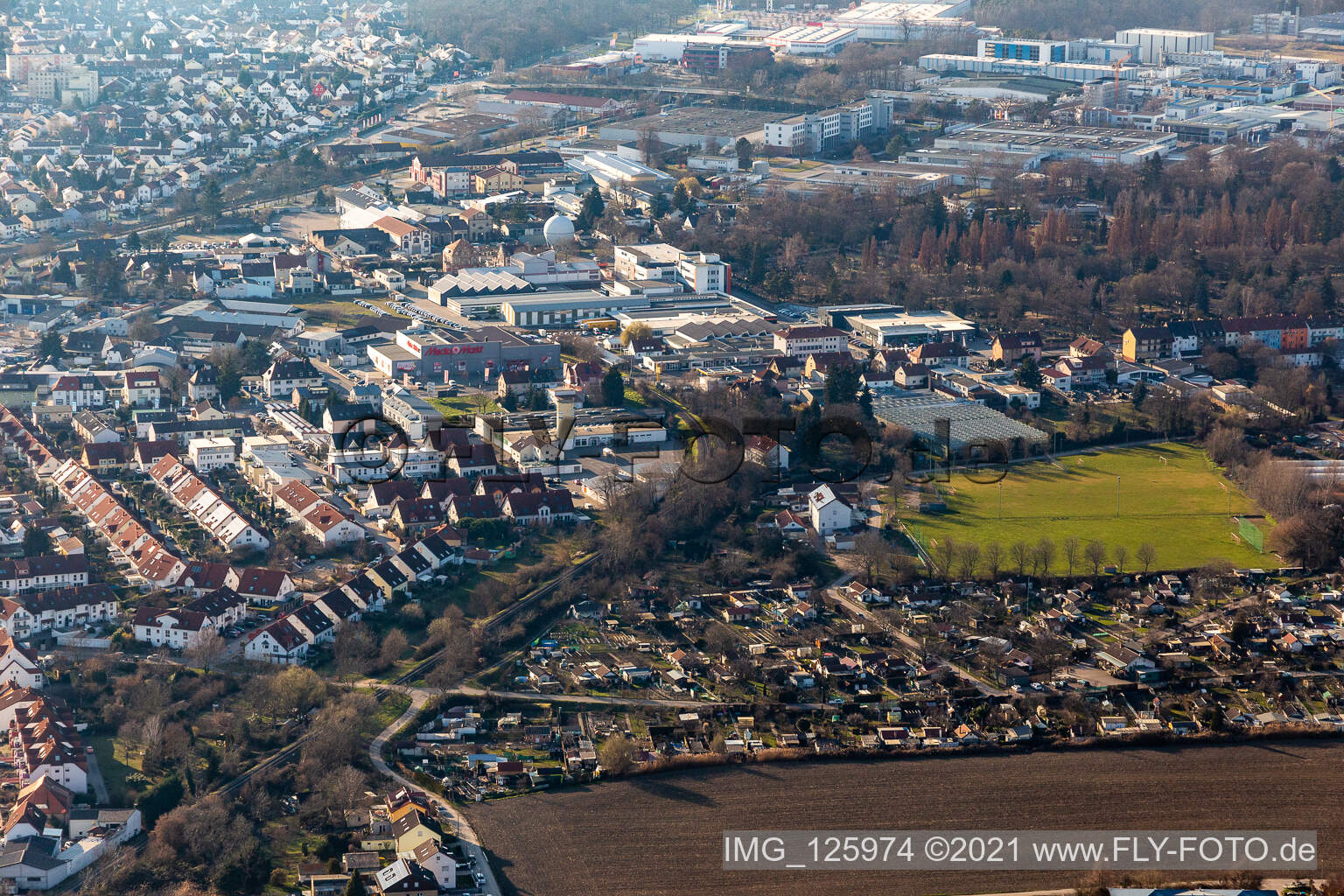 Vue aérienne de Jardins familiaux et terrain de sport au pâturage des vaches à Speyer dans le département Rhénanie-Palatinat, Allemagne