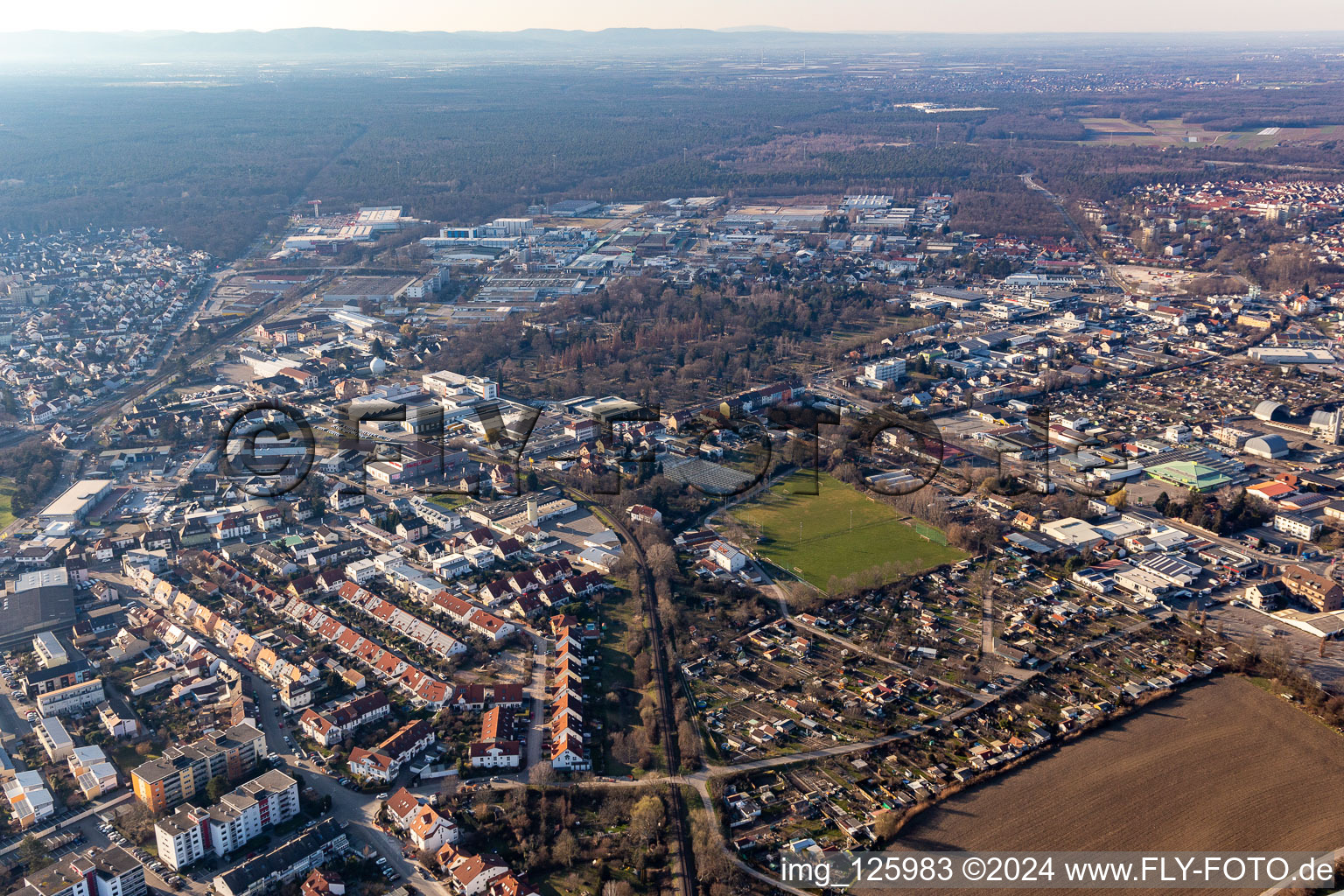 Jardins familiaux et terrain de sport au pâturage des vaches à Speyer dans le département Rhénanie-Palatinat, Allemagne d'en haut