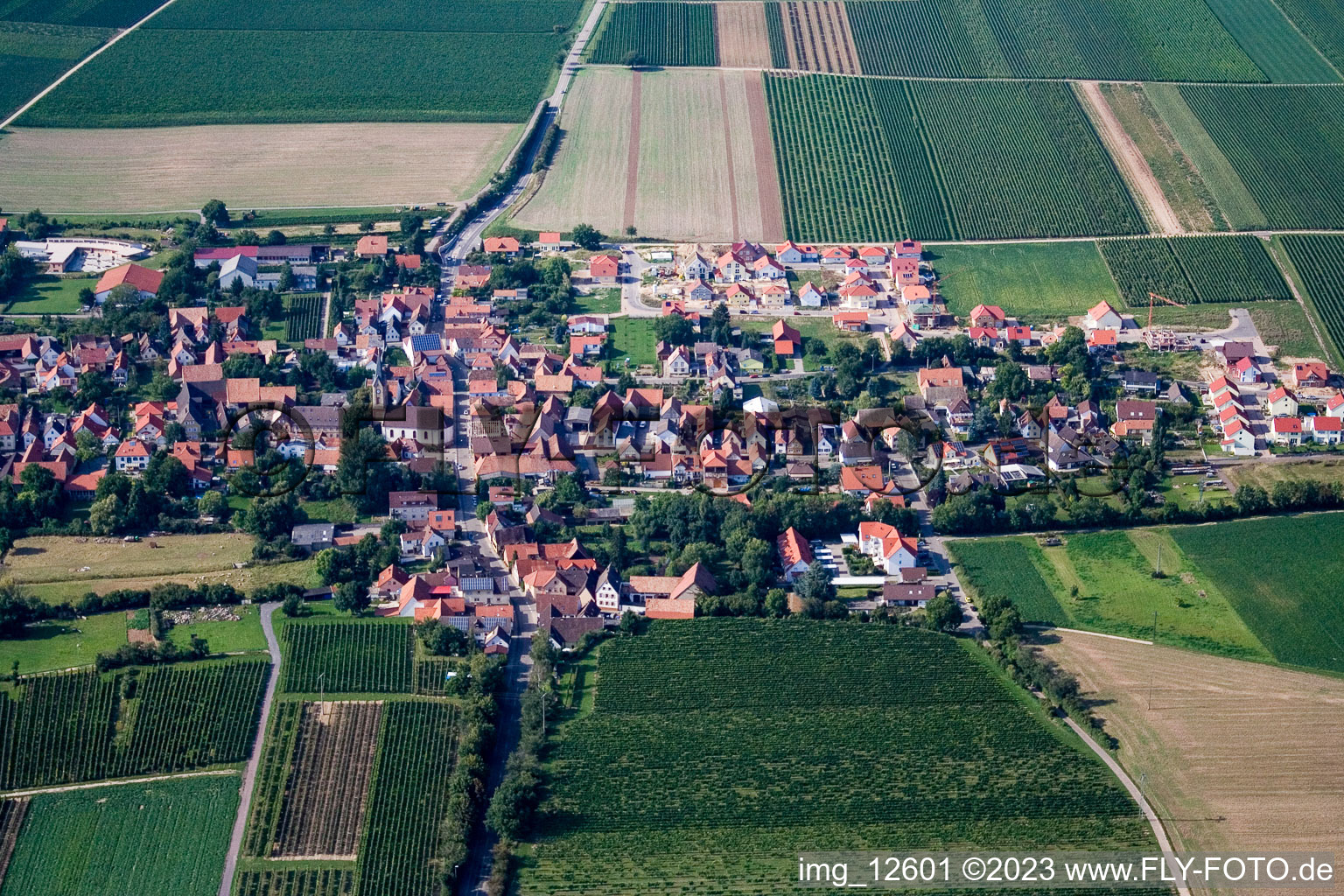 Essingen dans le département Rhénanie-Palatinat, Allemagne vue du ciel