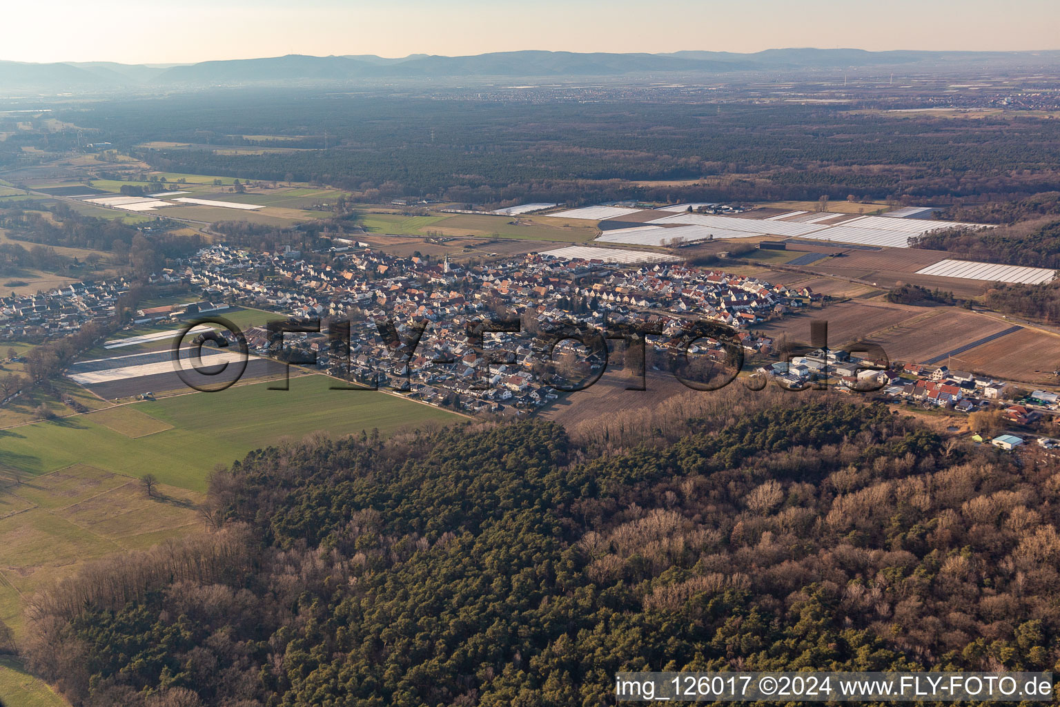 Hanhofen dans le département Rhénanie-Palatinat, Allemagne vue du ciel