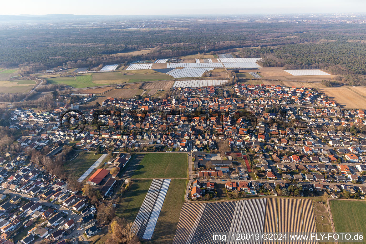 Enregistrement par drone de Hanhofen dans le département Rhénanie-Palatinat, Allemagne