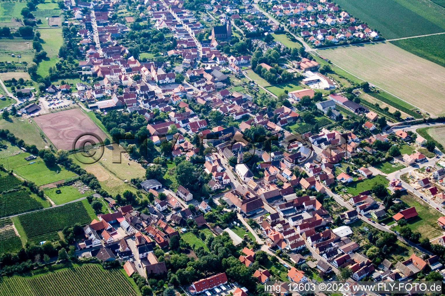 Essingen dans le département Rhénanie-Palatinat, Allemagne vue d'en haut