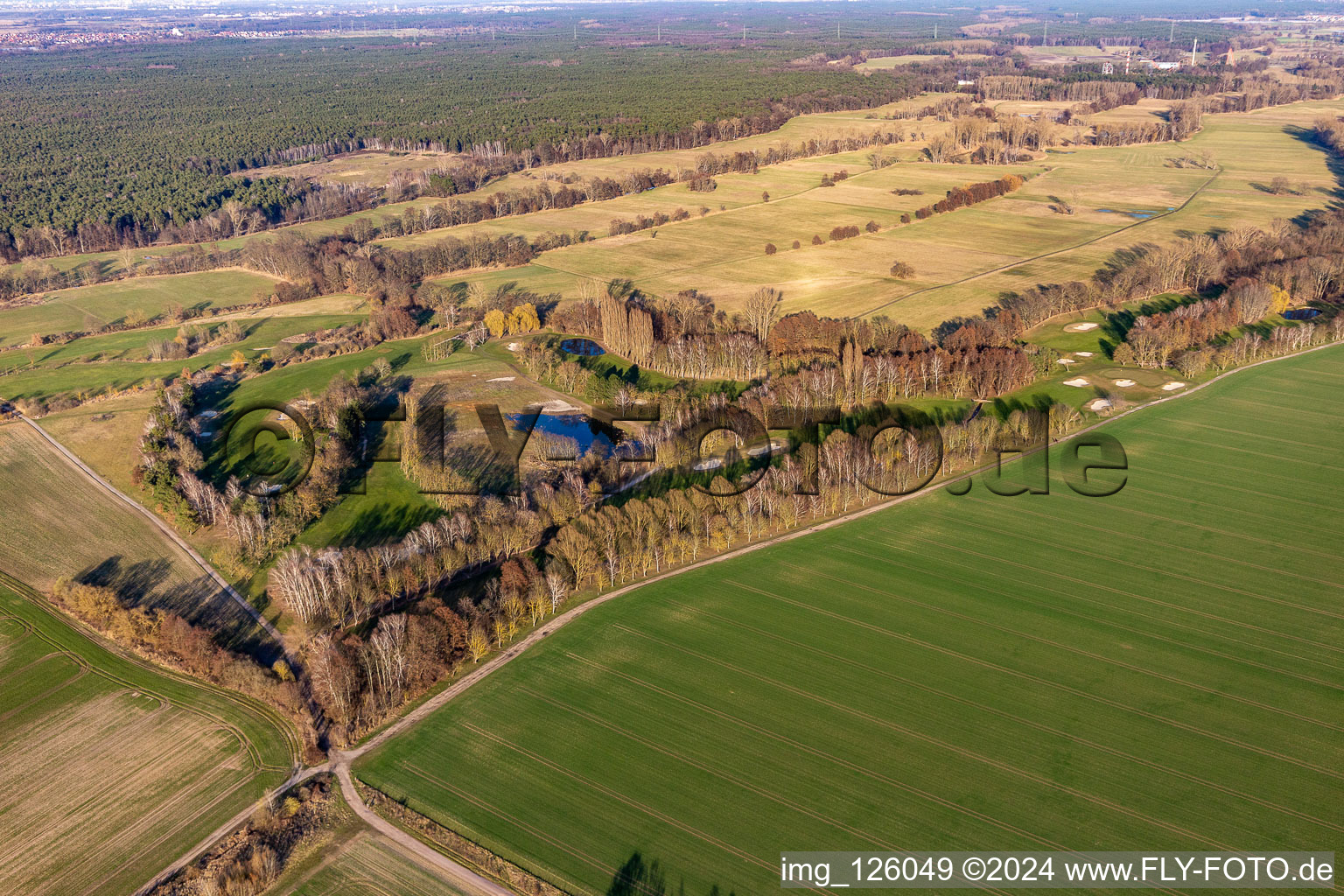 Vue oblique de Golf Club Palatinat à le quartier Geinsheim in Neustadt an der Weinstraße dans le département Rhénanie-Palatinat, Allemagne