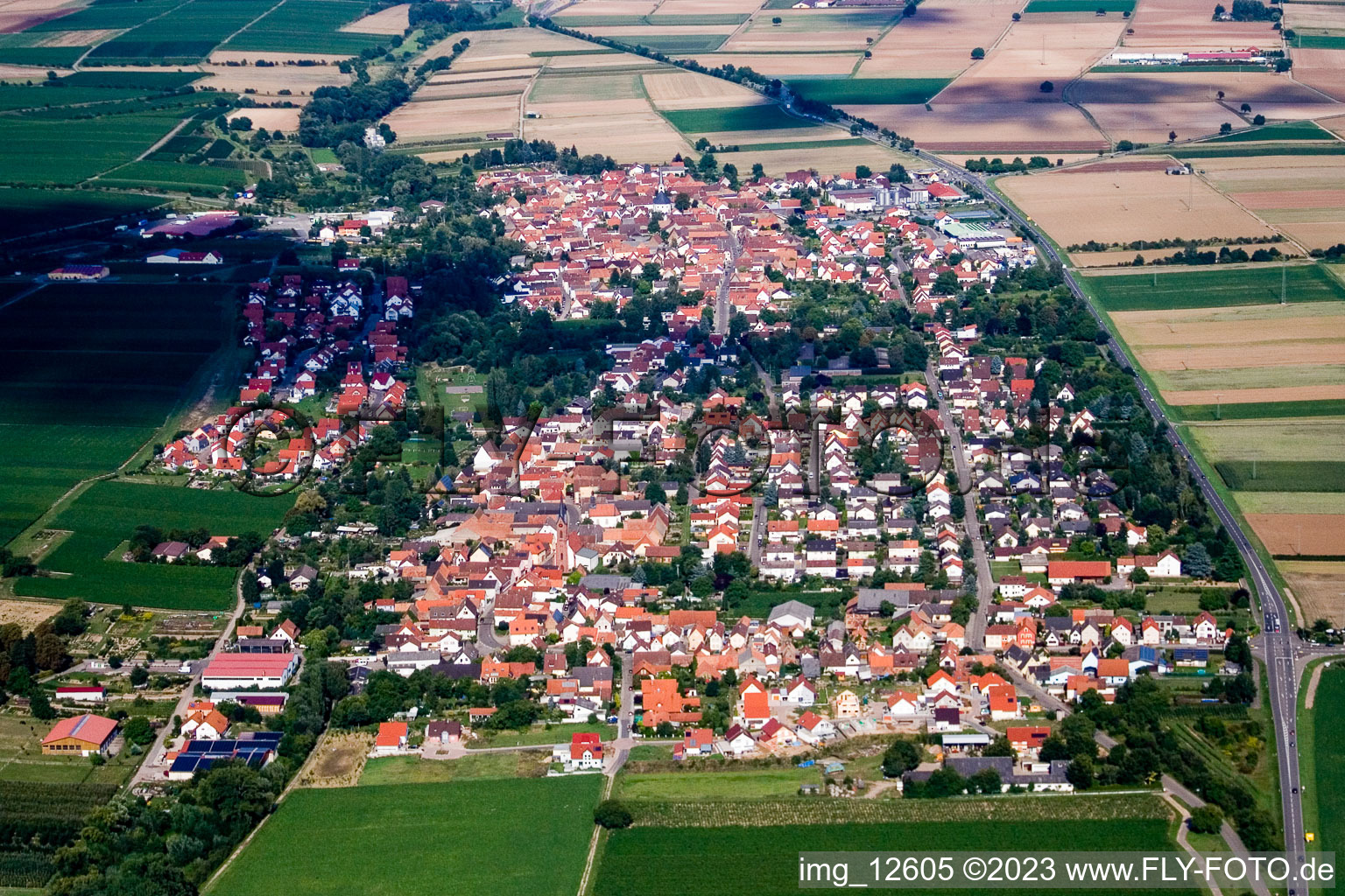 Image drone de Essingen dans le département Rhénanie-Palatinat, Allemagne