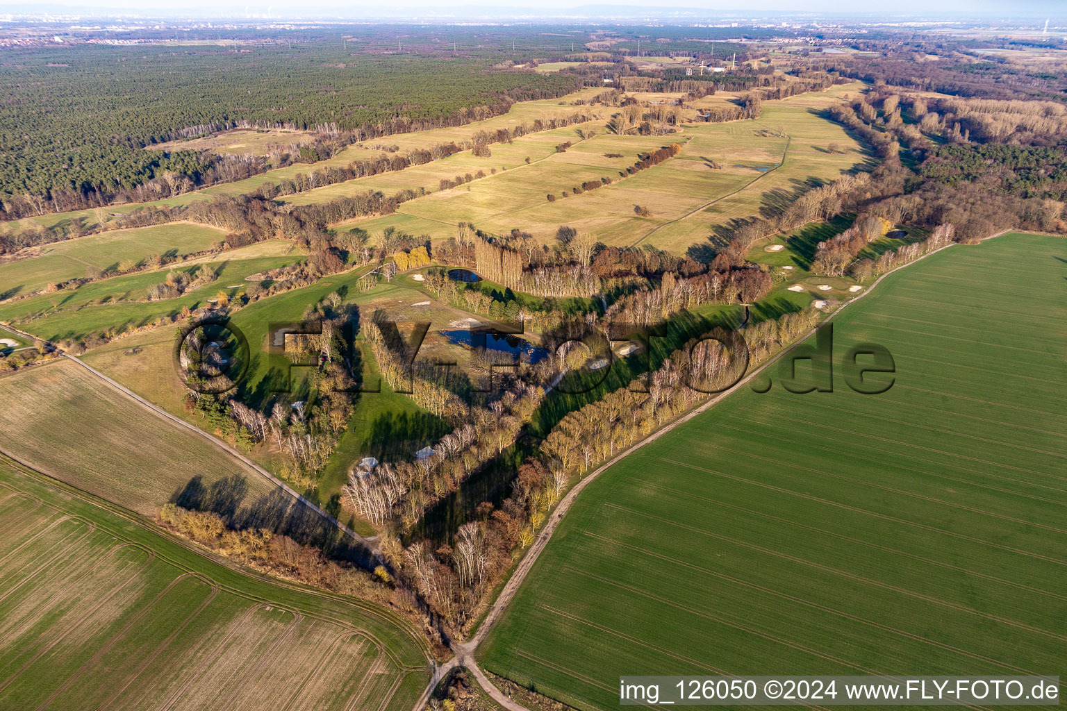 Photographie aérienne de Terrain du Golf Club Pfalz à le quartier Geinsheim in Neustadt an der Weinstraße dans le département Rhénanie-Palatinat, Allemagne