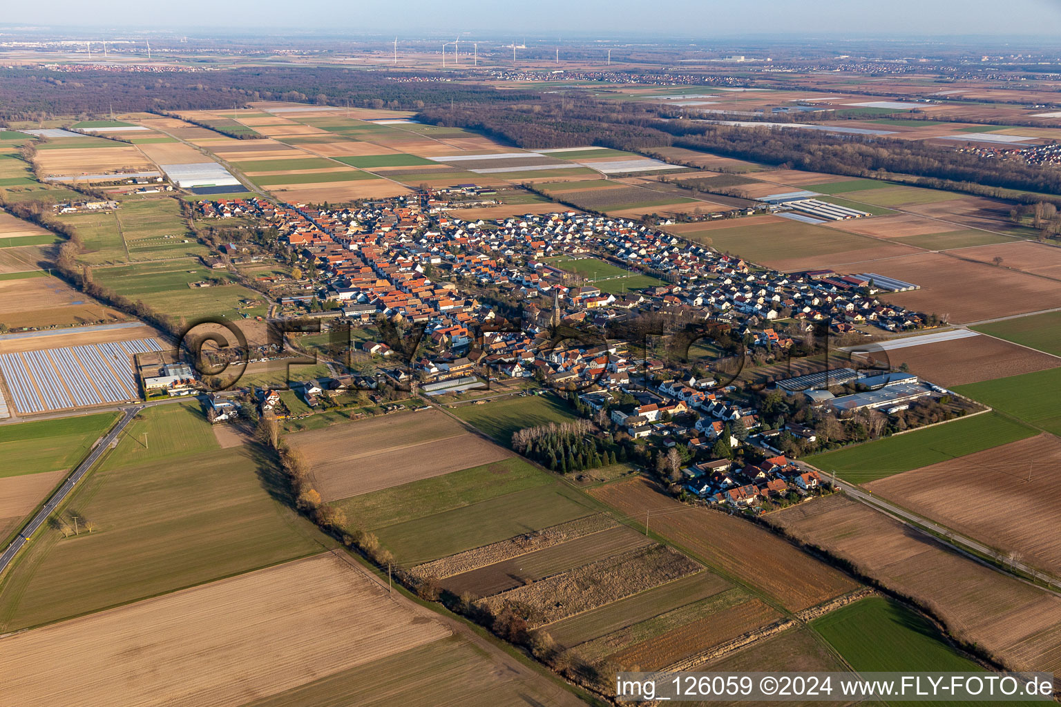 Vue aérienne de Vue sur la commune en bordure de champs agricoles et de zones agricoles à Gommersheim dans le département Rhénanie-Palatinat, Allemagne