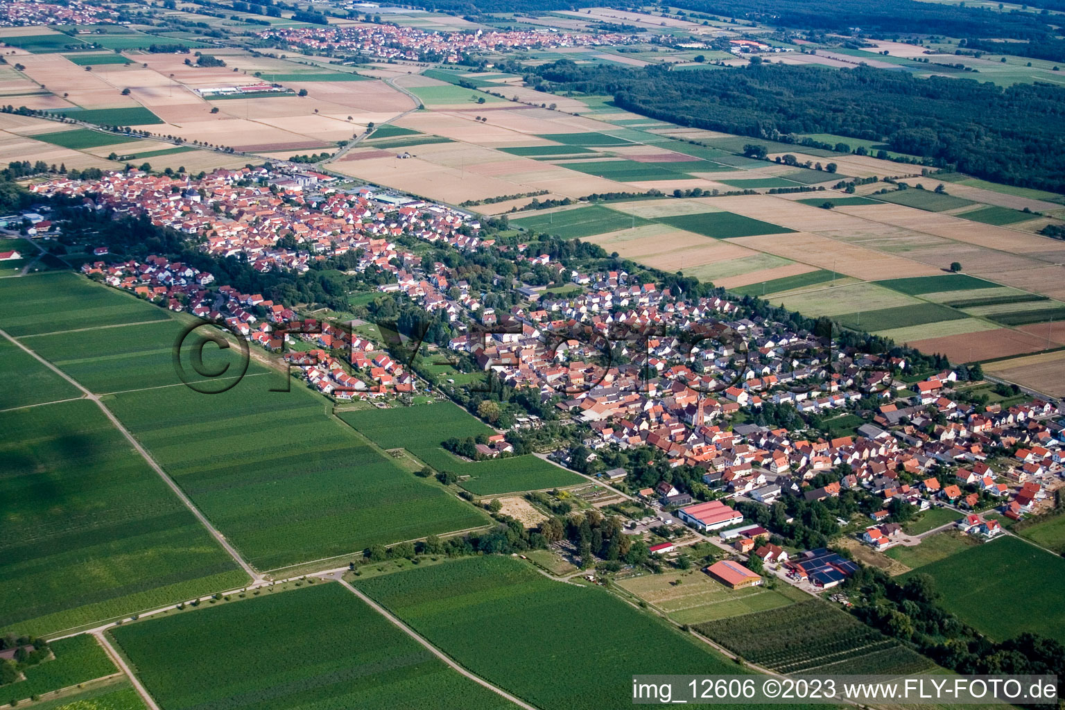 Essingen dans le département Rhénanie-Palatinat, Allemagne du point de vue du drone