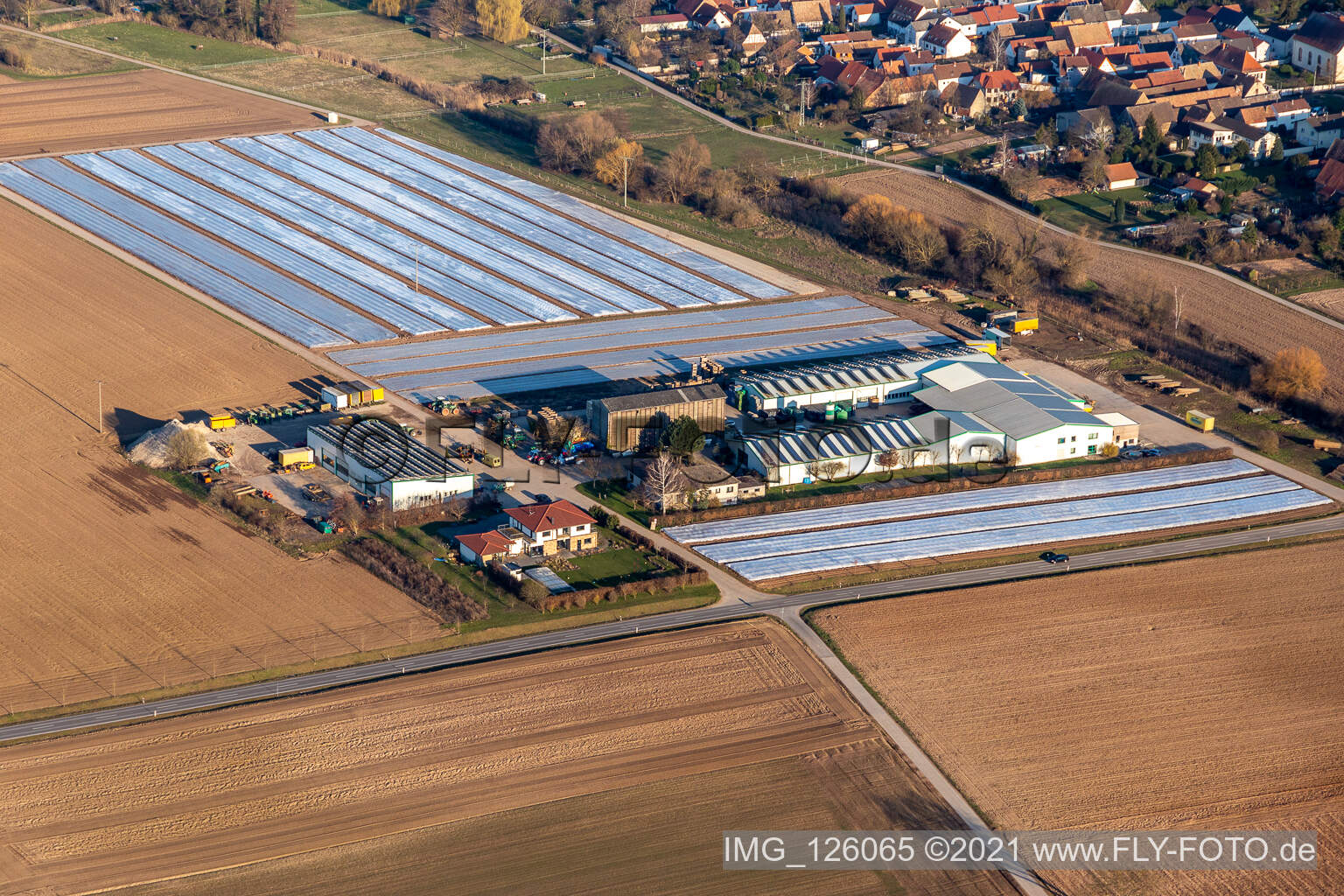 Vue aérienne de Films sur les légumes dans les champs de culture de légumes dans la région du Grafenland à Freisbach dans le département Rhénanie-Palatinat, Allemagne