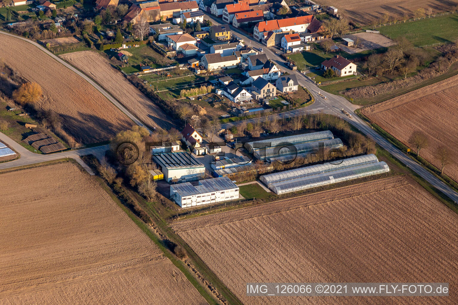 Freisbach dans le département Rhénanie-Palatinat, Allemagne vue du ciel