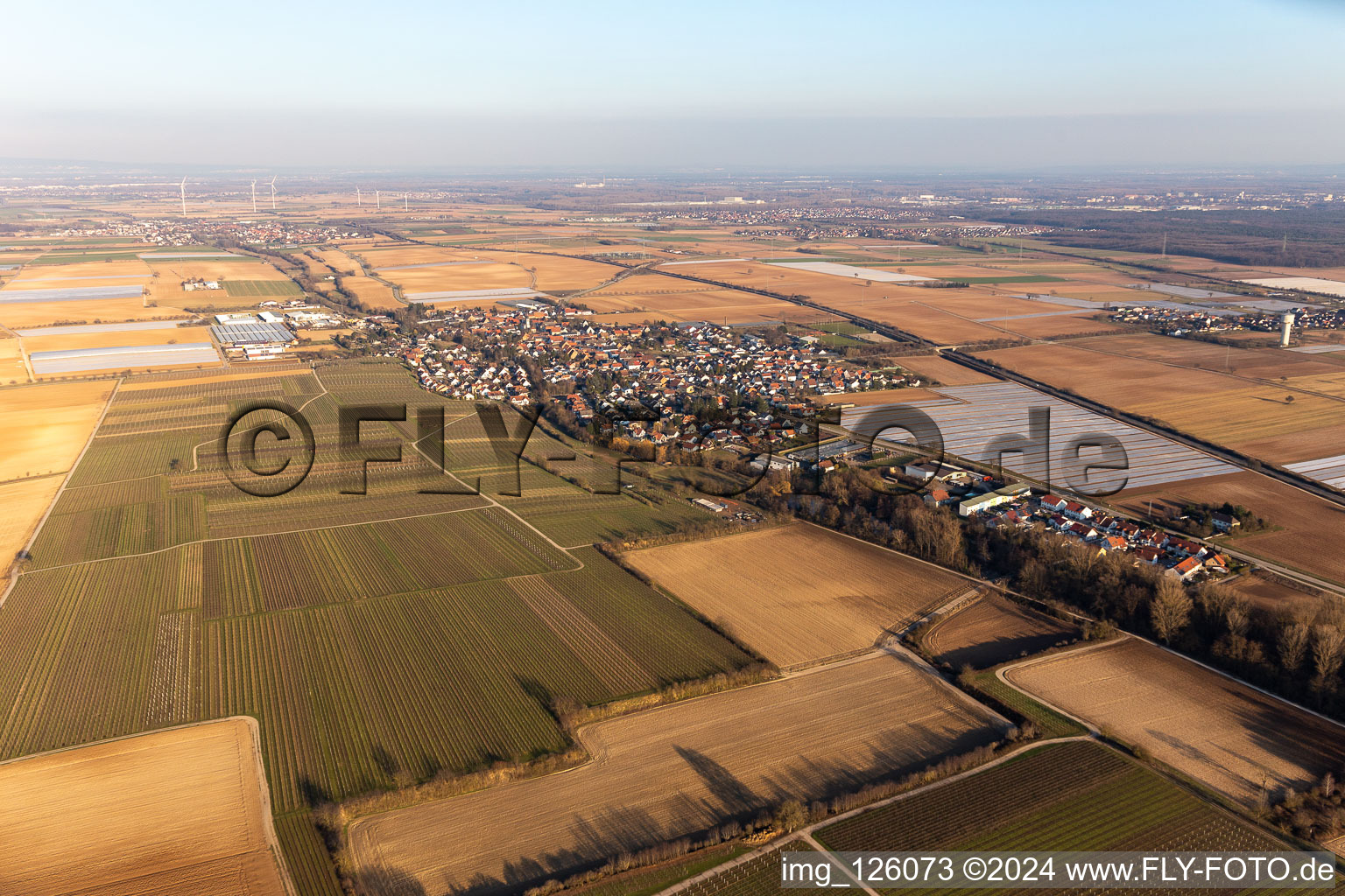 Image drone de Weingarten dans le département Rhénanie-Palatinat, Allemagne