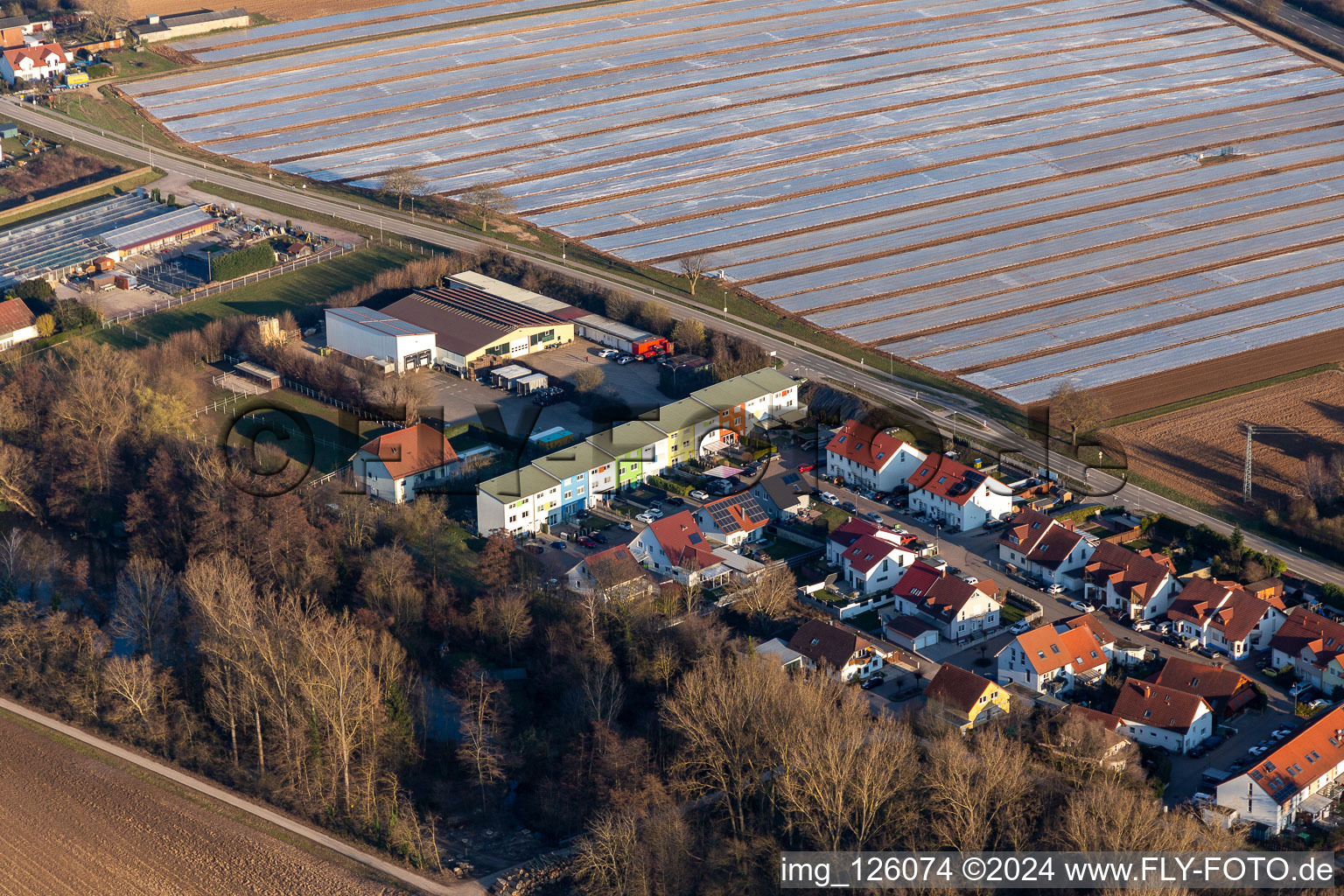 Weingarten dans le département Rhénanie-Palatinat, Allemagne du point de vue du drone