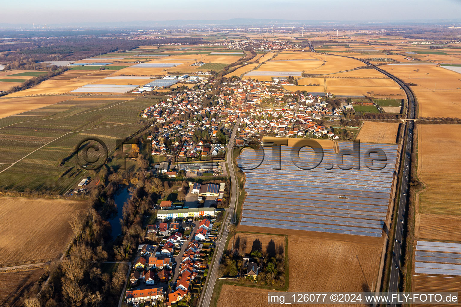 Vue aérienne de (Palatinat) à Weingarten dans le département Rhénanie-Palatinat, Allemagne