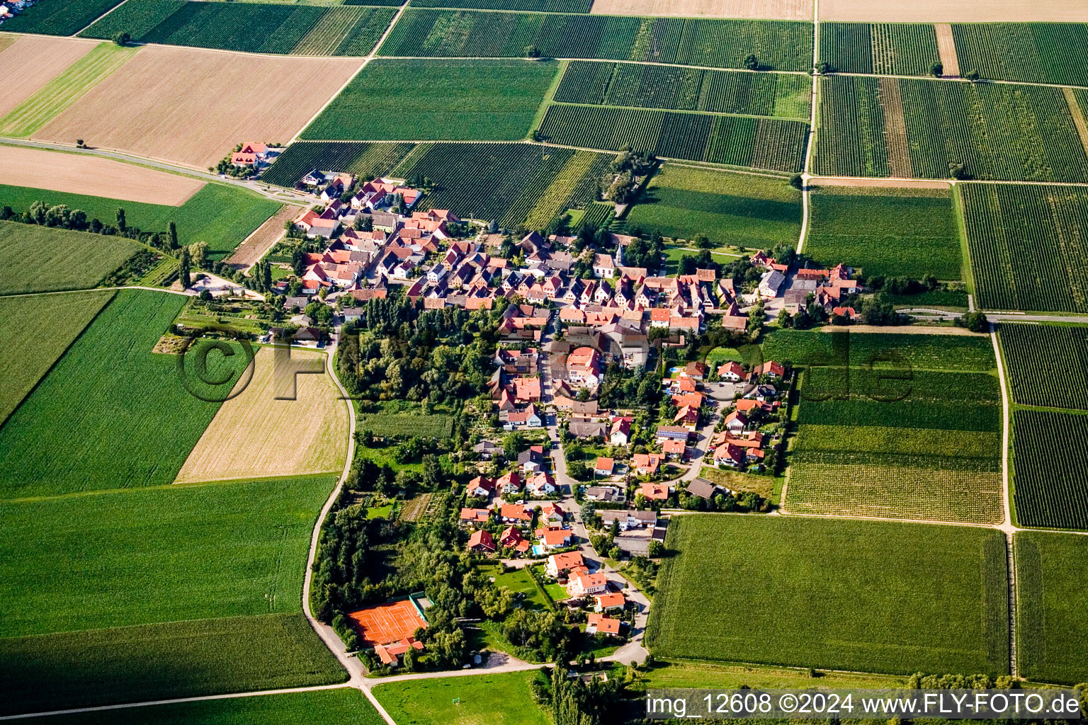 Vue aérienne de Vue sur le village à Kleinfischlingen dans le département Rhénanie-Palatinat, Allemagne