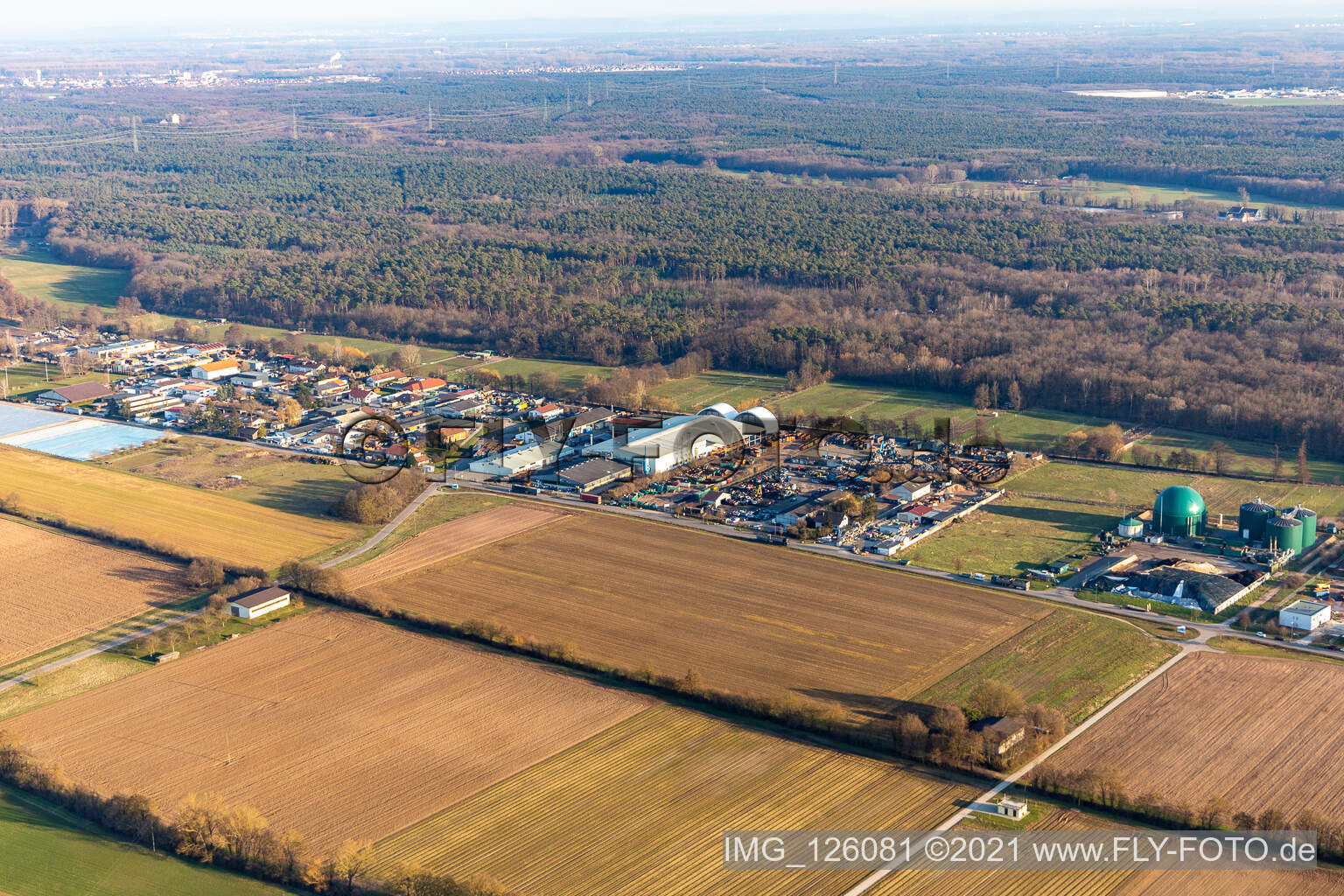 Vue aérienne de Alba Electronics Recycling GmbH à Lustadt dans le département Rhénanie-Palatinat, Allemagne