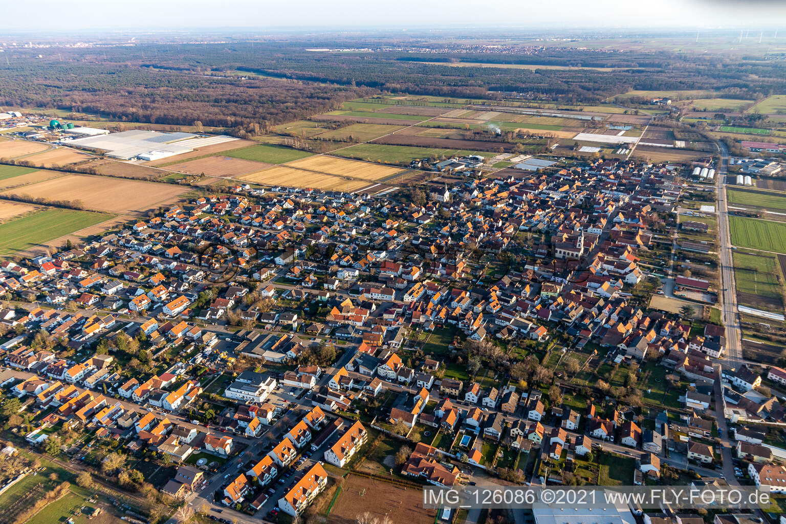 Vue aérienne de Vue sur la commune en bordure de champs agricoles et de zones agricoles à Zeiskam dans le département Rhénanie-Palatinat, Allemagne