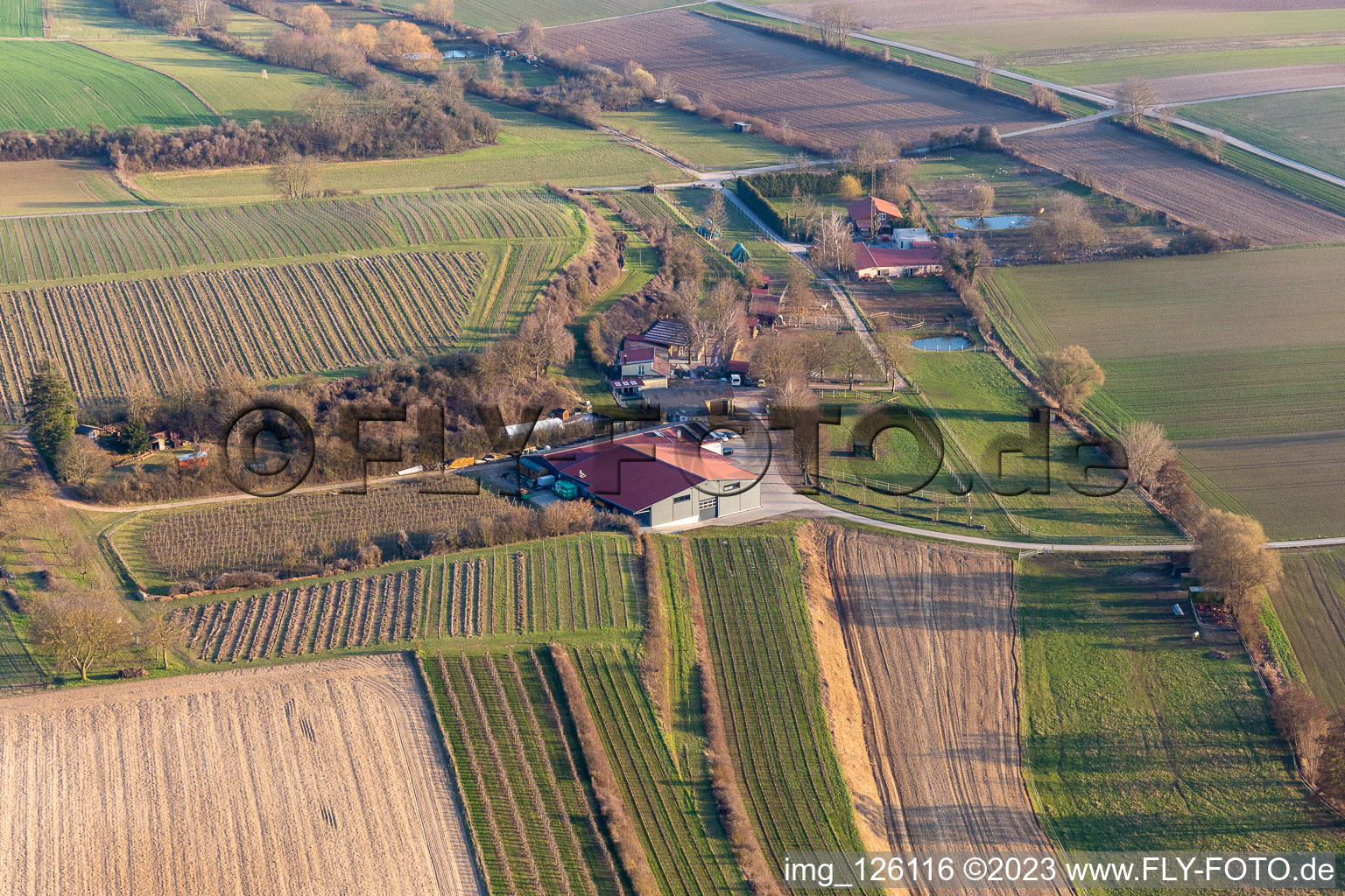 Photographie aérienne de RANCH à le quartier Herxheim in Herxheim bei Landau dans le département Rhénanie-Palatinat, Allemagne