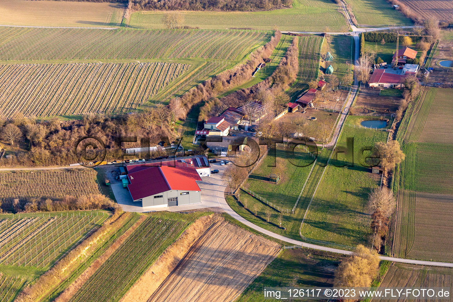 Vue oblique de RANCH à le quartier Herxheim in Herxheim bei Landau dans le département Rhénanie-Palatinat, Allemagne