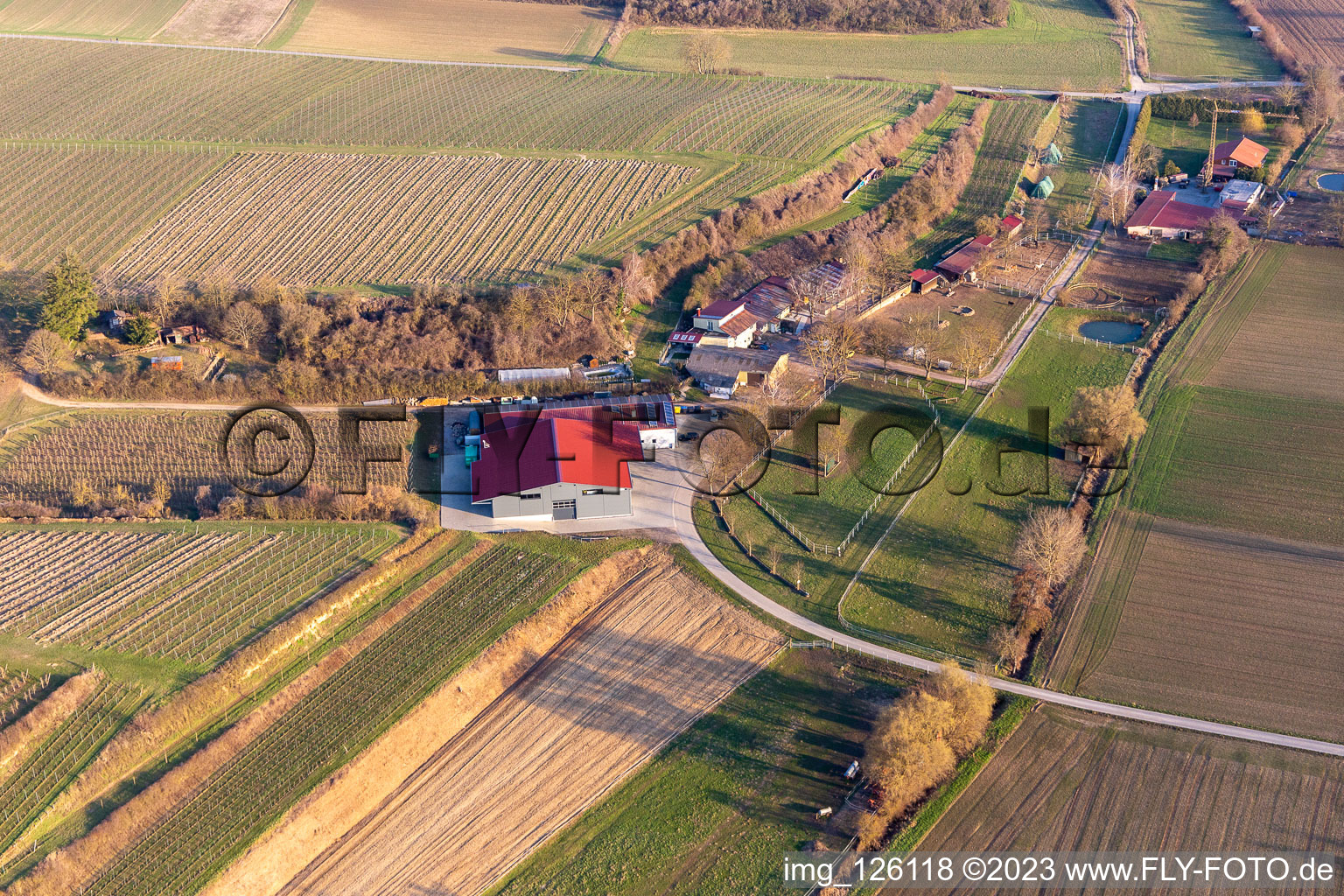 RANCH à le quartier Herxheim in Herxheim bei Landau dans le département Rhénanie-Palatinat, Allemagne d'en haut