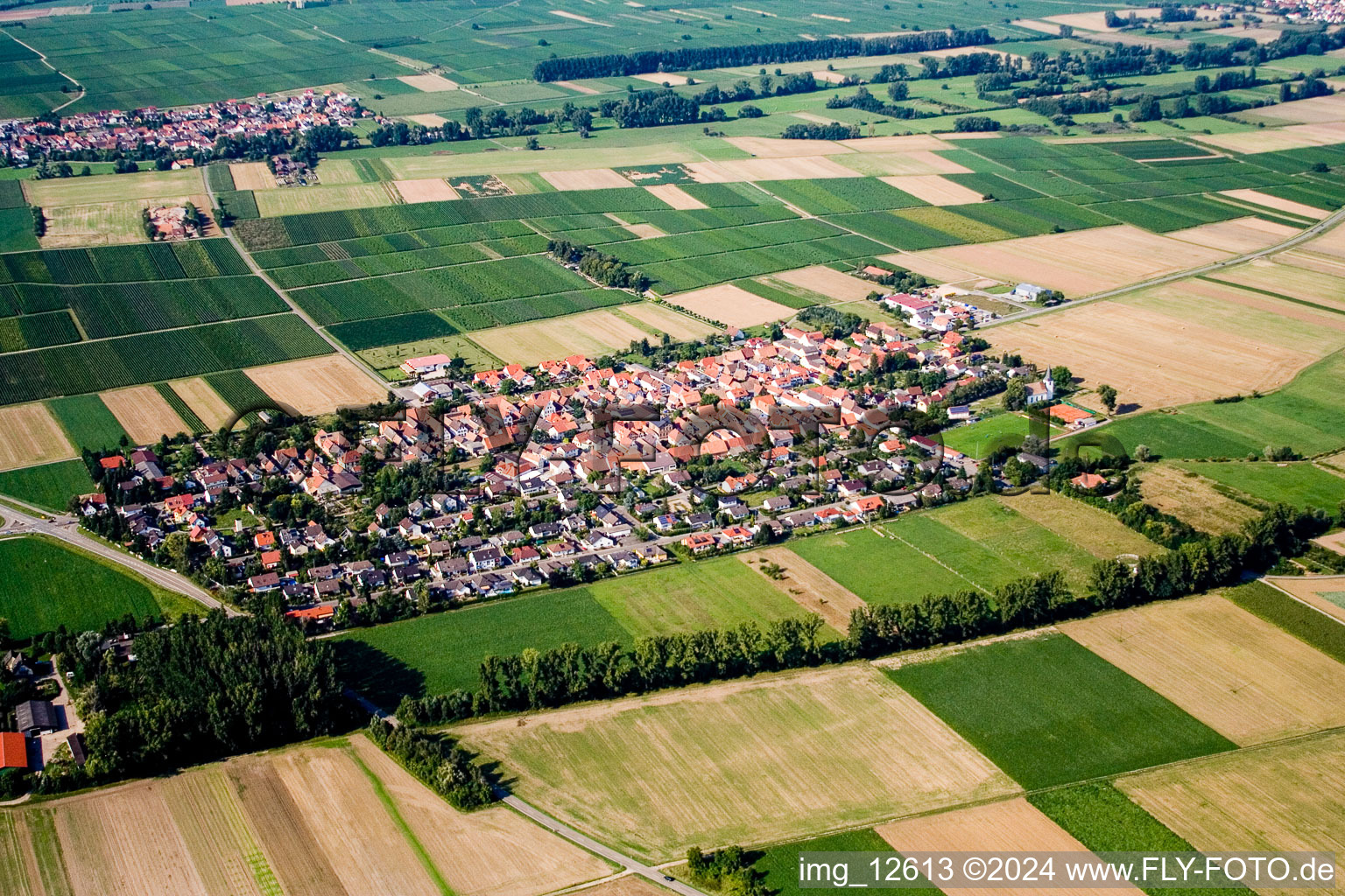 Freimersheim dans le département Rhénanie-Palatinat, Allemagne du point de vue du drone