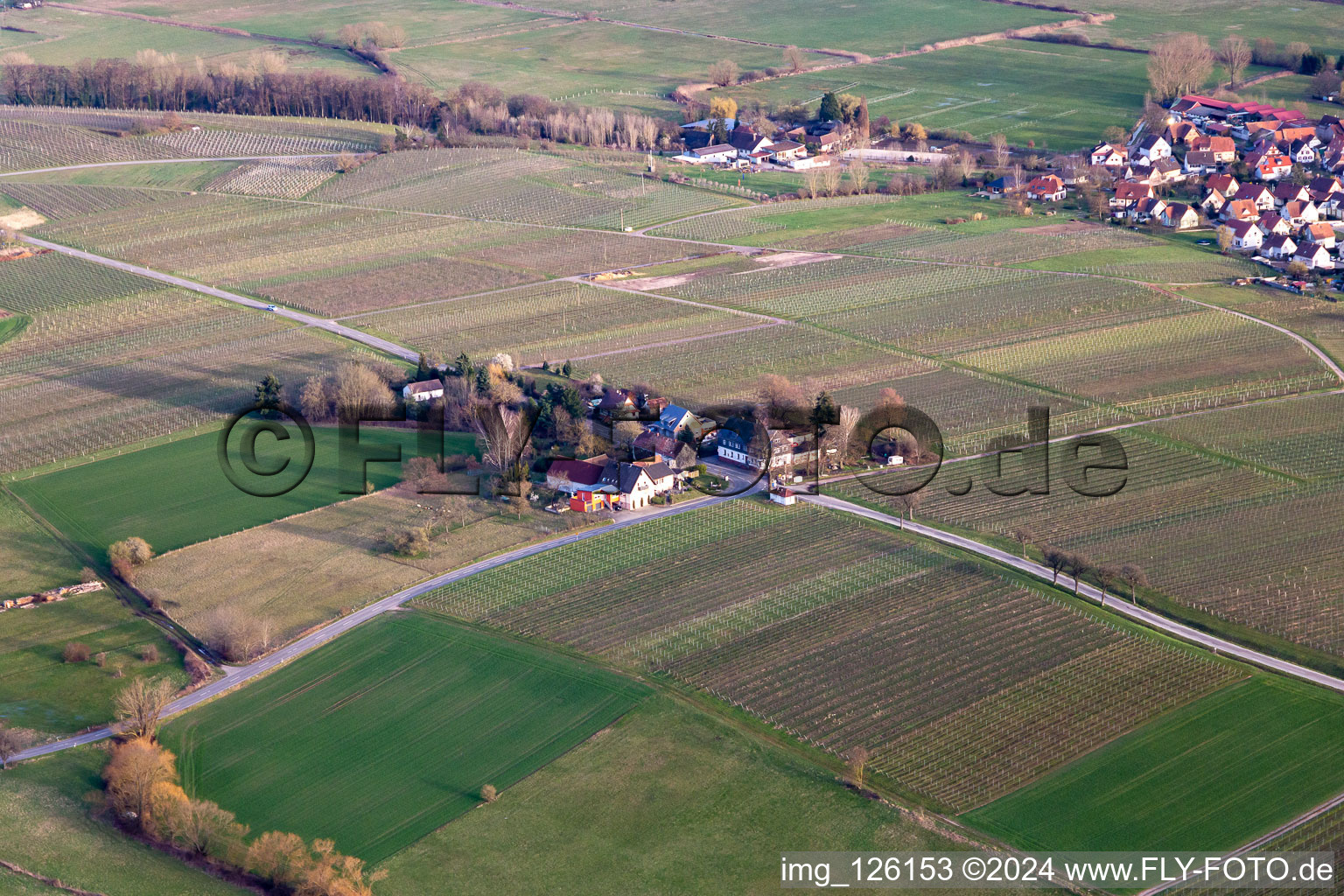 Vue aérienne de Windhof, frontière verte avec la France à Schweighofen dans le département Rhénanie-Palatinat, Allemagne