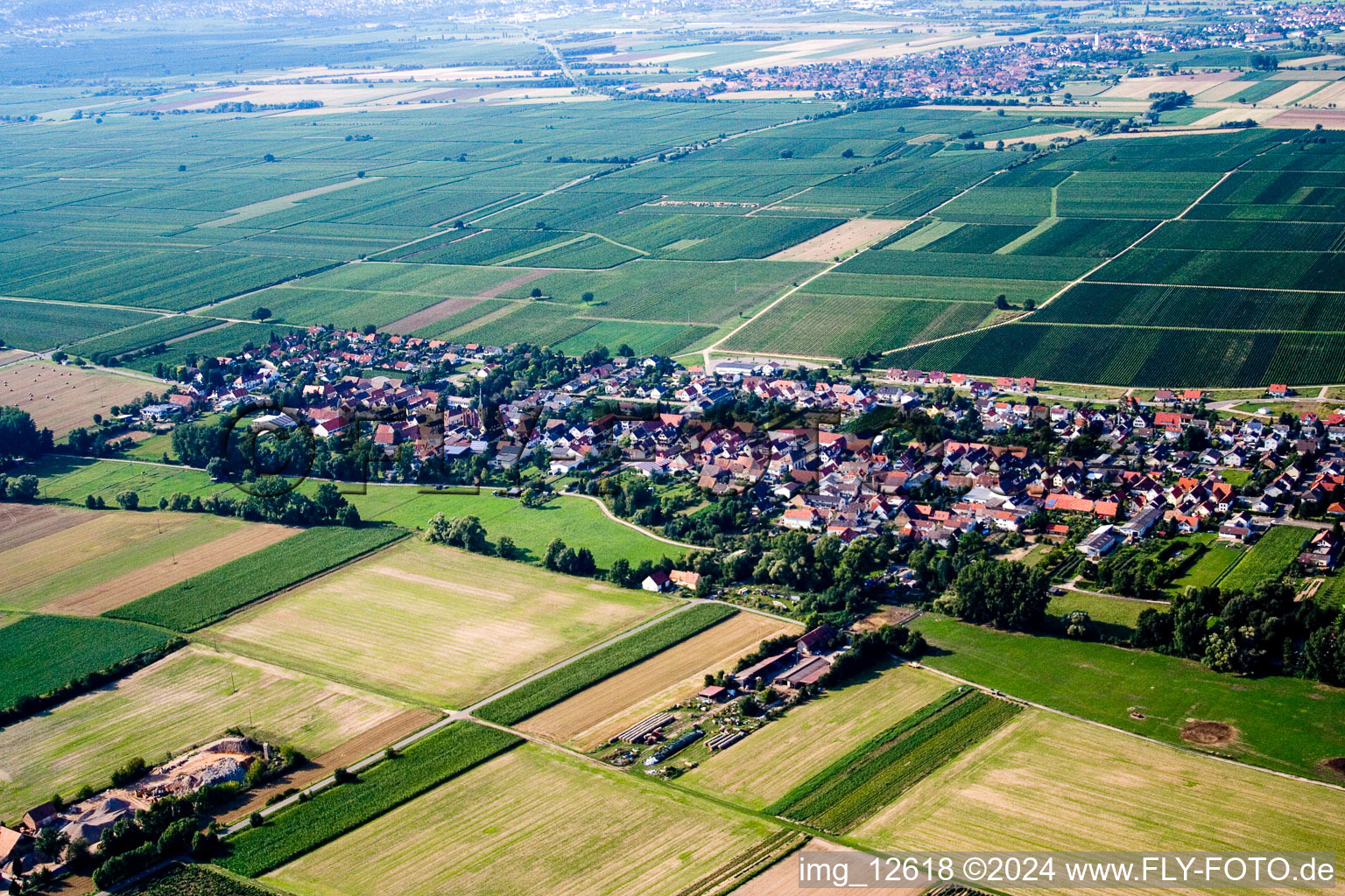 Altdorf dans le département Rhénanie-Palatinat, Allemagne vue du ciel