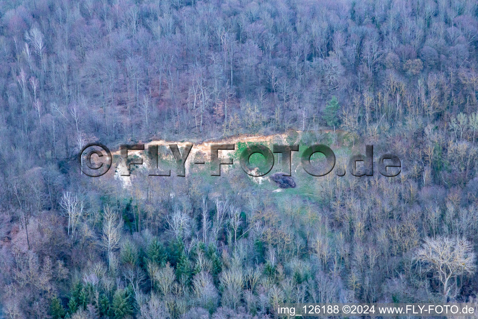 Barbelroth dans le département Rhénanie-Palatinat, Allemagne depuis l'avion