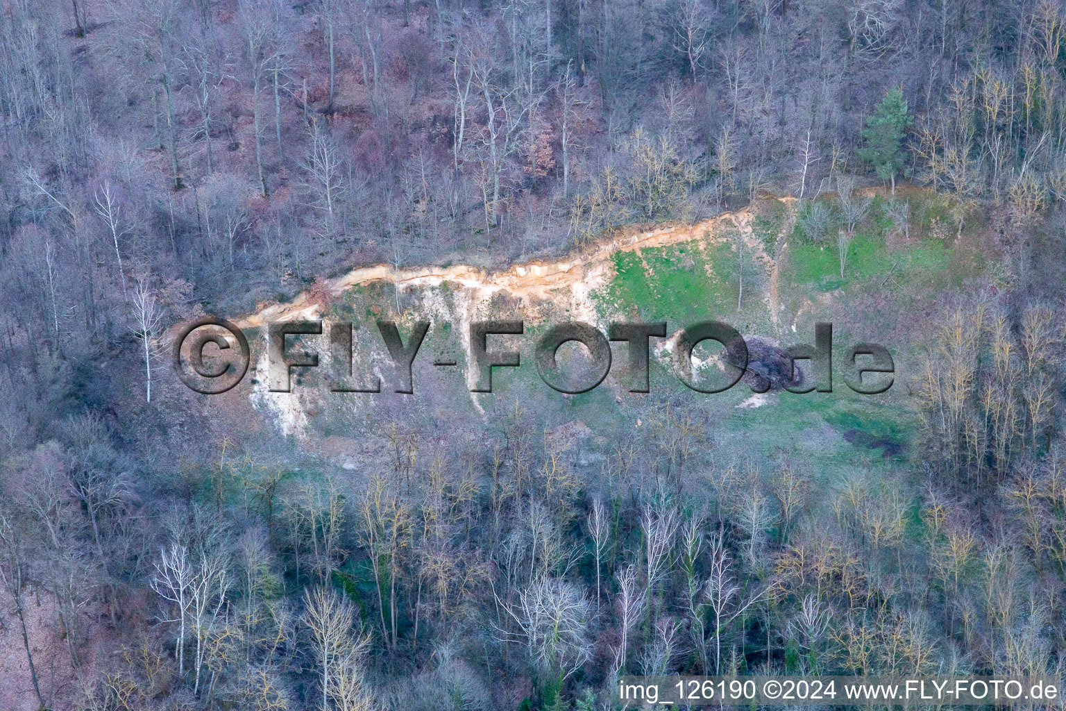 Vue d'oiseau de Barbelroth dans le département Rhénanie-Palatinat, Allemagne