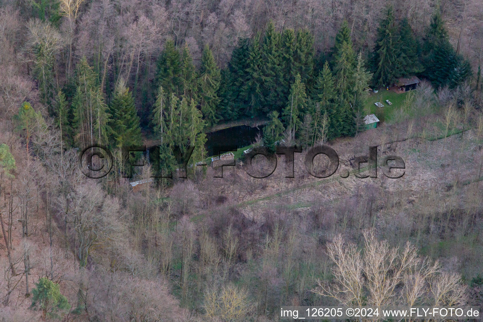 Photographie aérienne de Quartier Ingenheim in Billigheim-Ingenheim dans le département Rhénanie-Palatinat, Allemagne