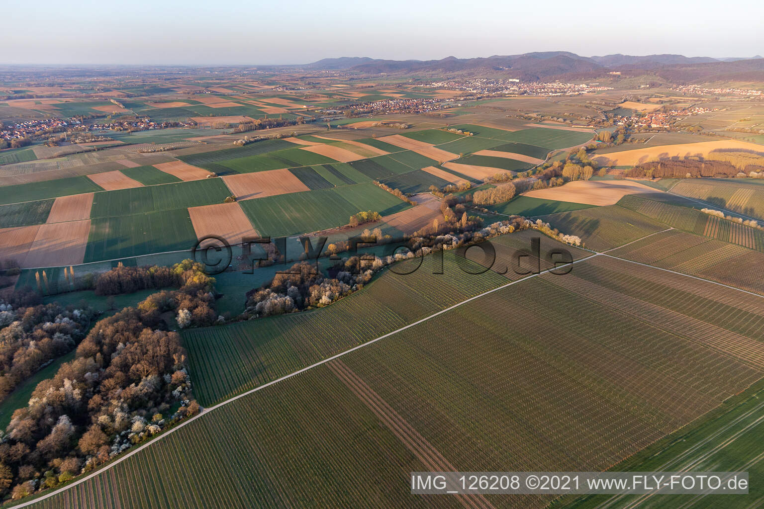 Vue aérienne de Horbachtal au soleil du matin à Niederhorbach dans le département Rhénanie-Palatinat, Allemagne