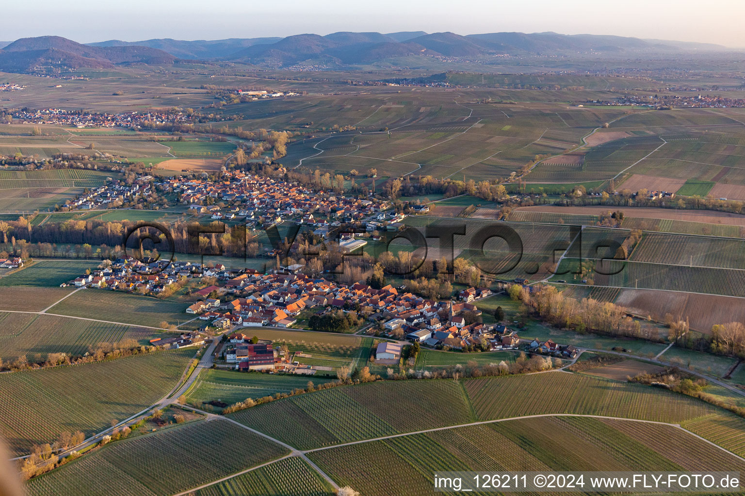 Vue aérienne de Champs et vignobles avec en toile de fond le Haardtrand de la forêt du Palatinat dans le district de Heuchelheim à le quartier Klingen in Heuchelheim-Klingen dans le département Rhénanie-Palatinat, Allemagne