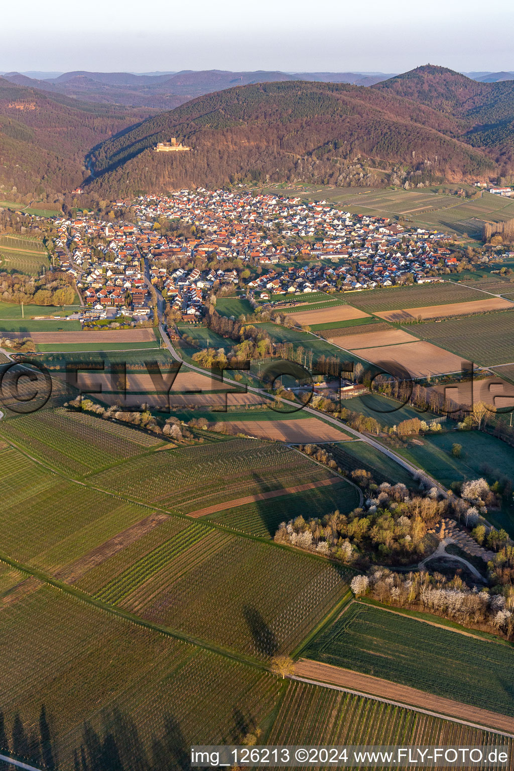 Vue aérienne de Klingbachtal en fleurs au printemps à Klingenmünster dans le département Rhénanie-Palatinat, Allemagne