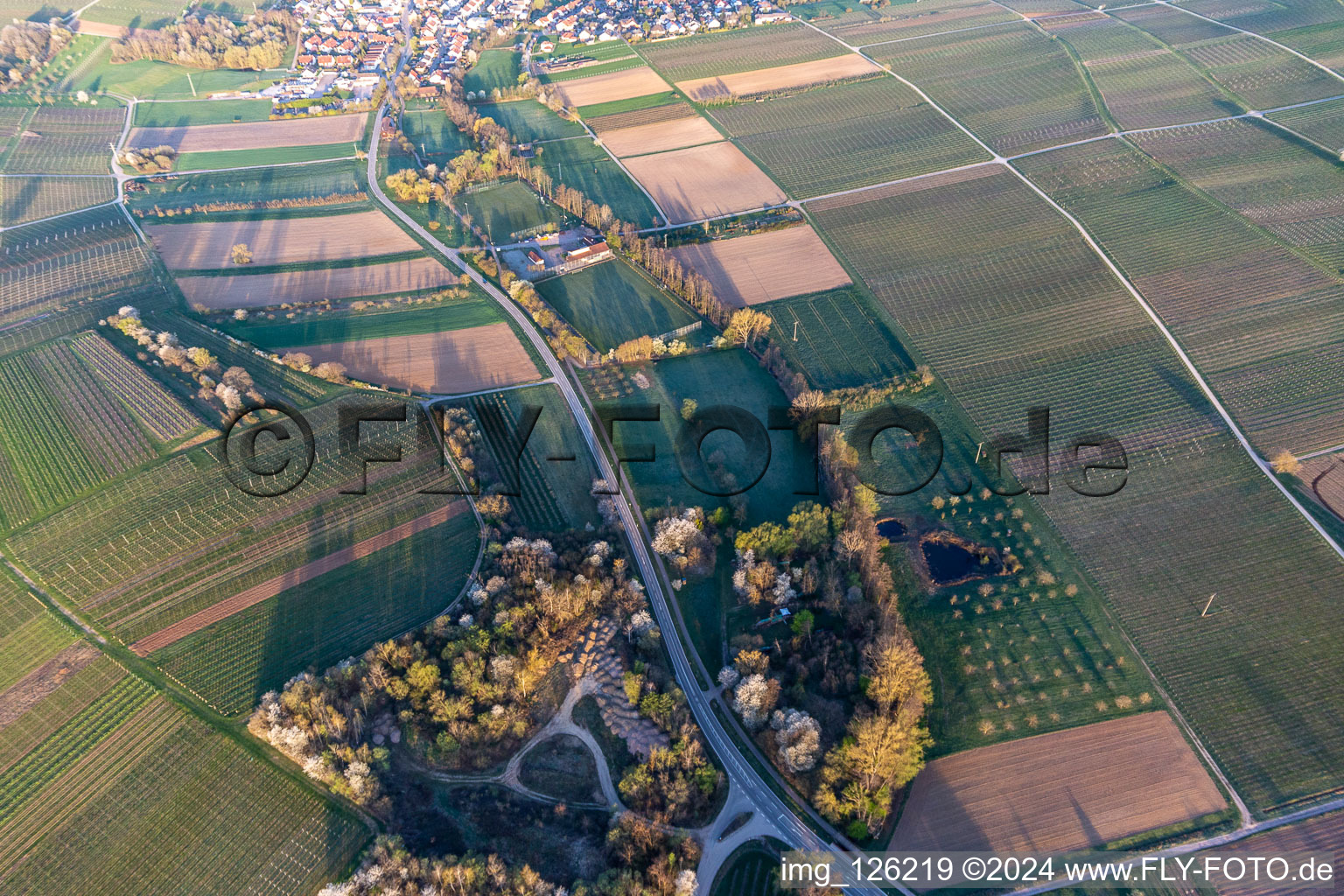 Vue aérienne de Terrain de sport SV Klingenmünster dans le Klingbachtal en floraison printanière à Klingenmünster dans le département Rhénanie-Palatinat, Allemagne